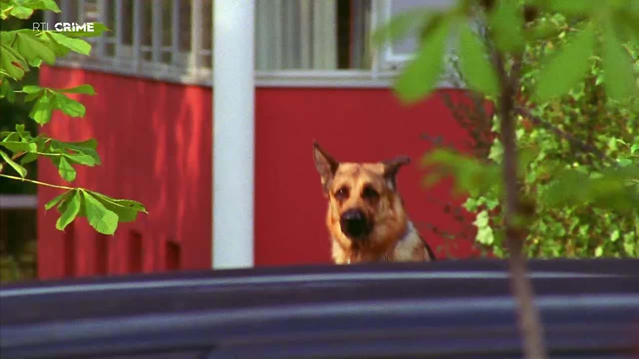 RTLcrime