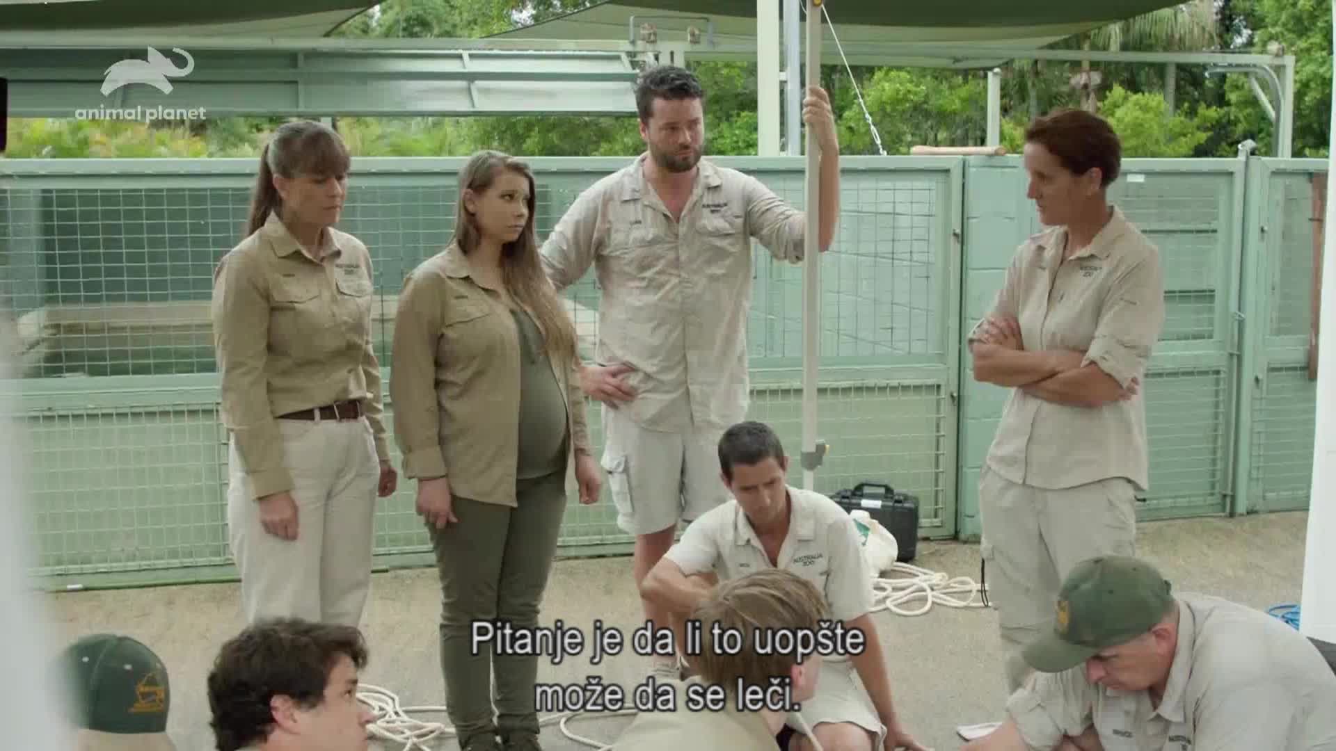 AnimalPlanet