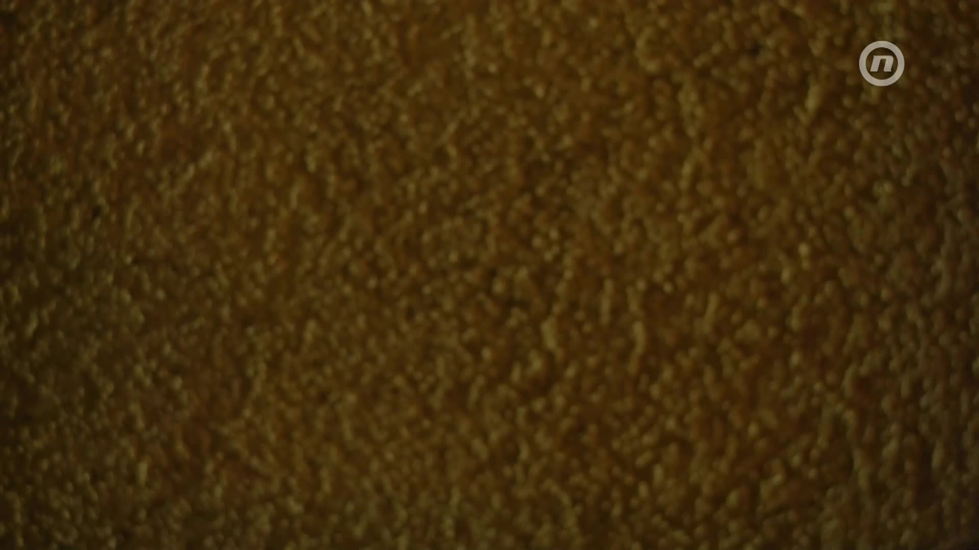 NovaTVPlus
