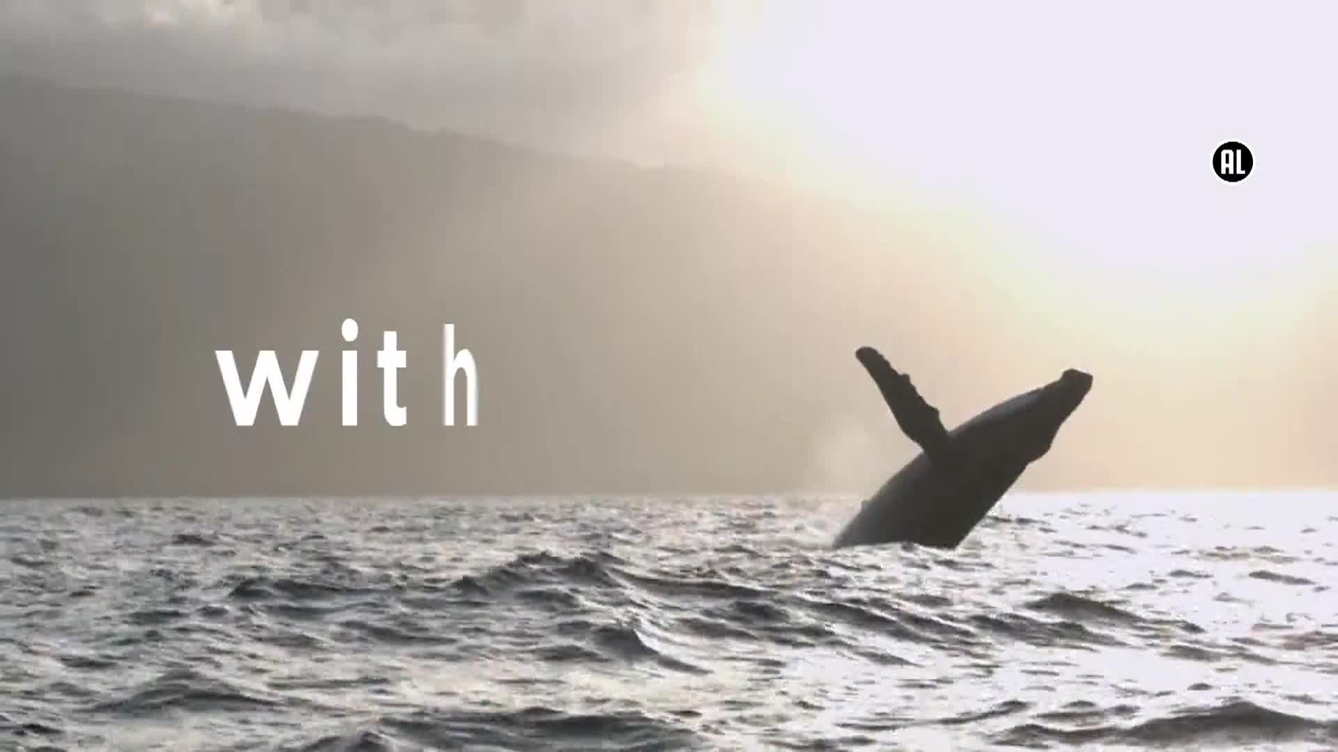 AnimalPlanet