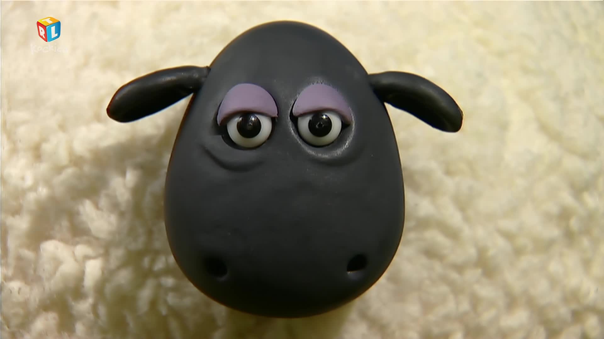 RTLKockica