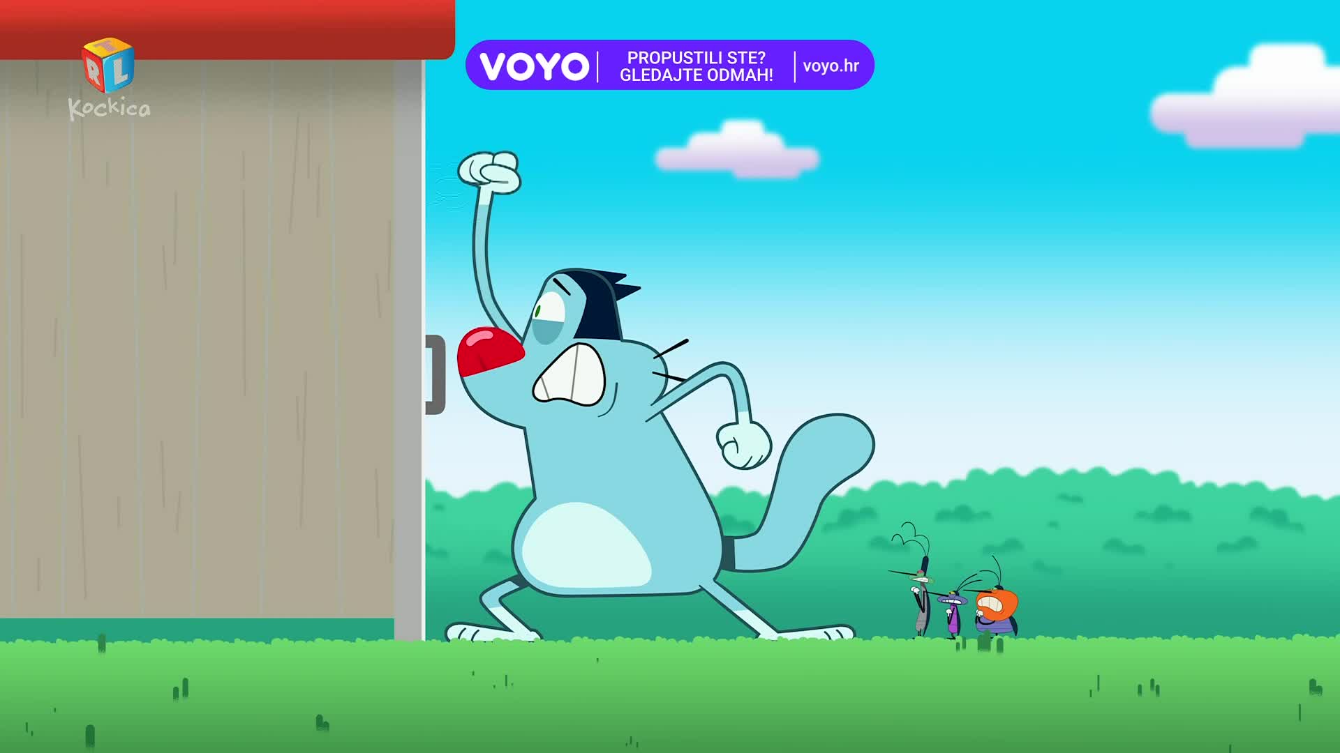 RTLKockica