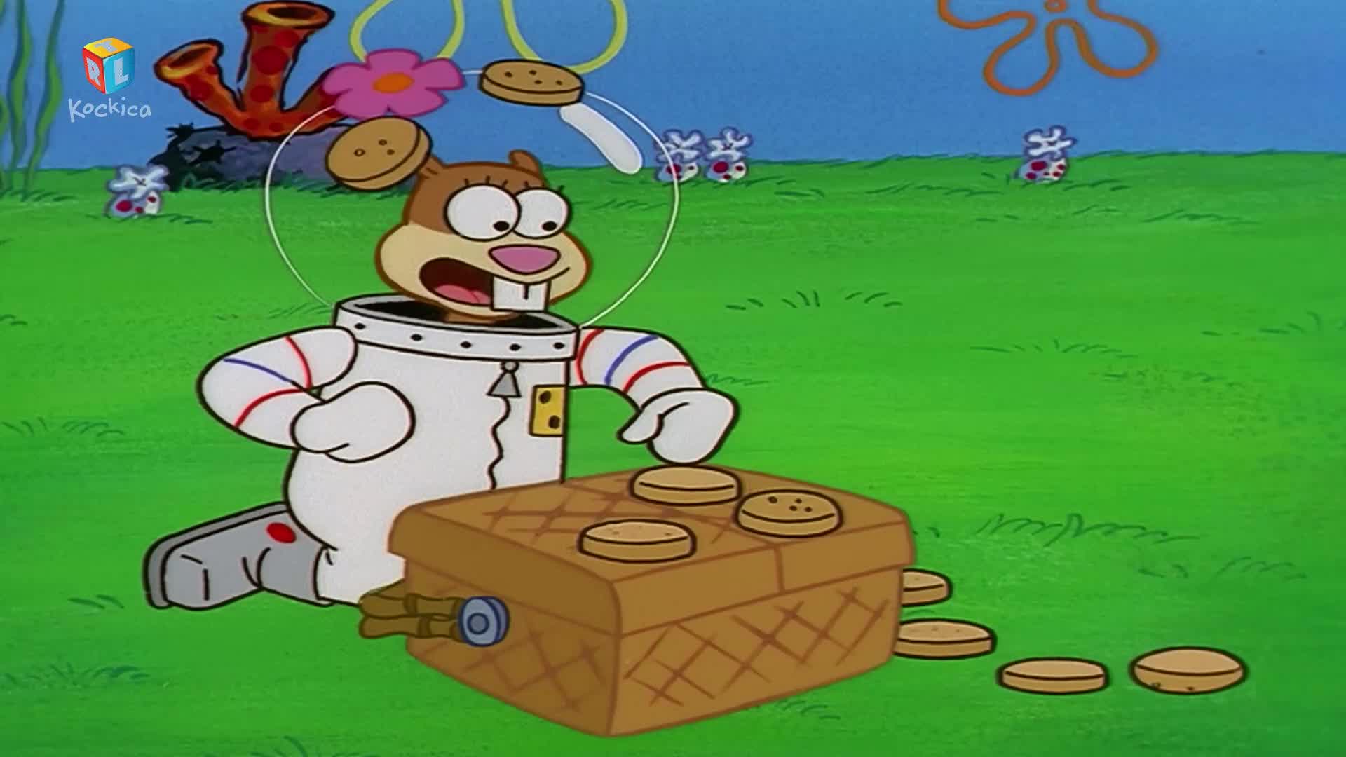 RTLKockica