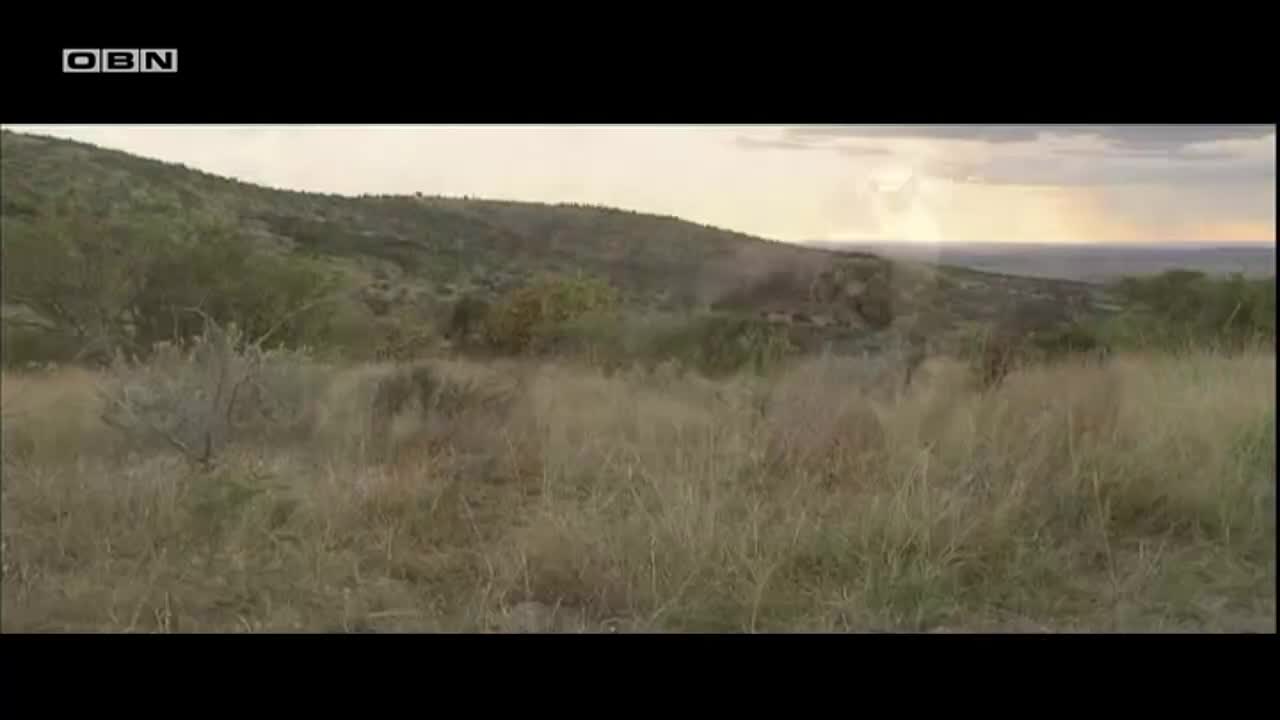obn