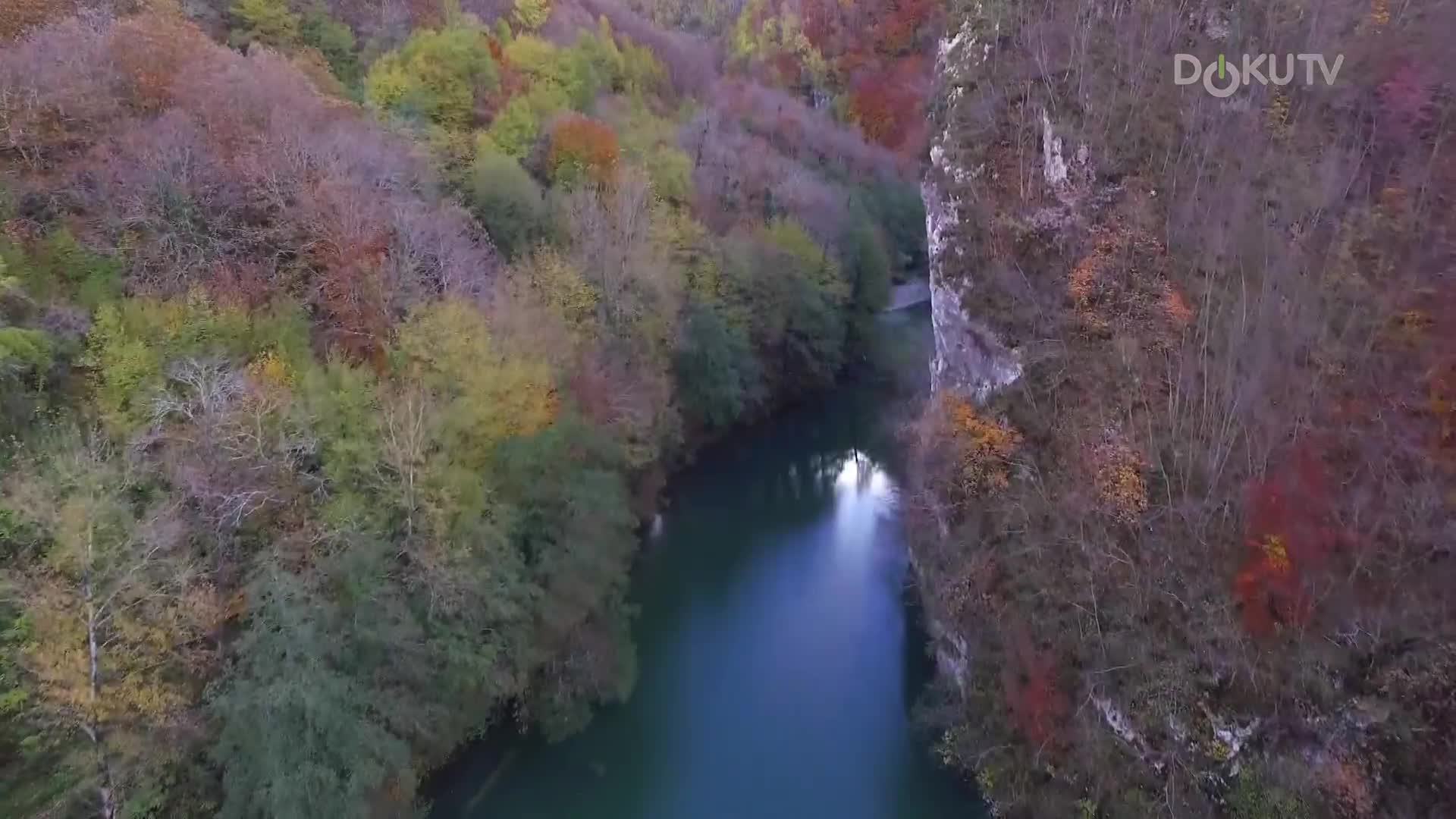 DokuTV