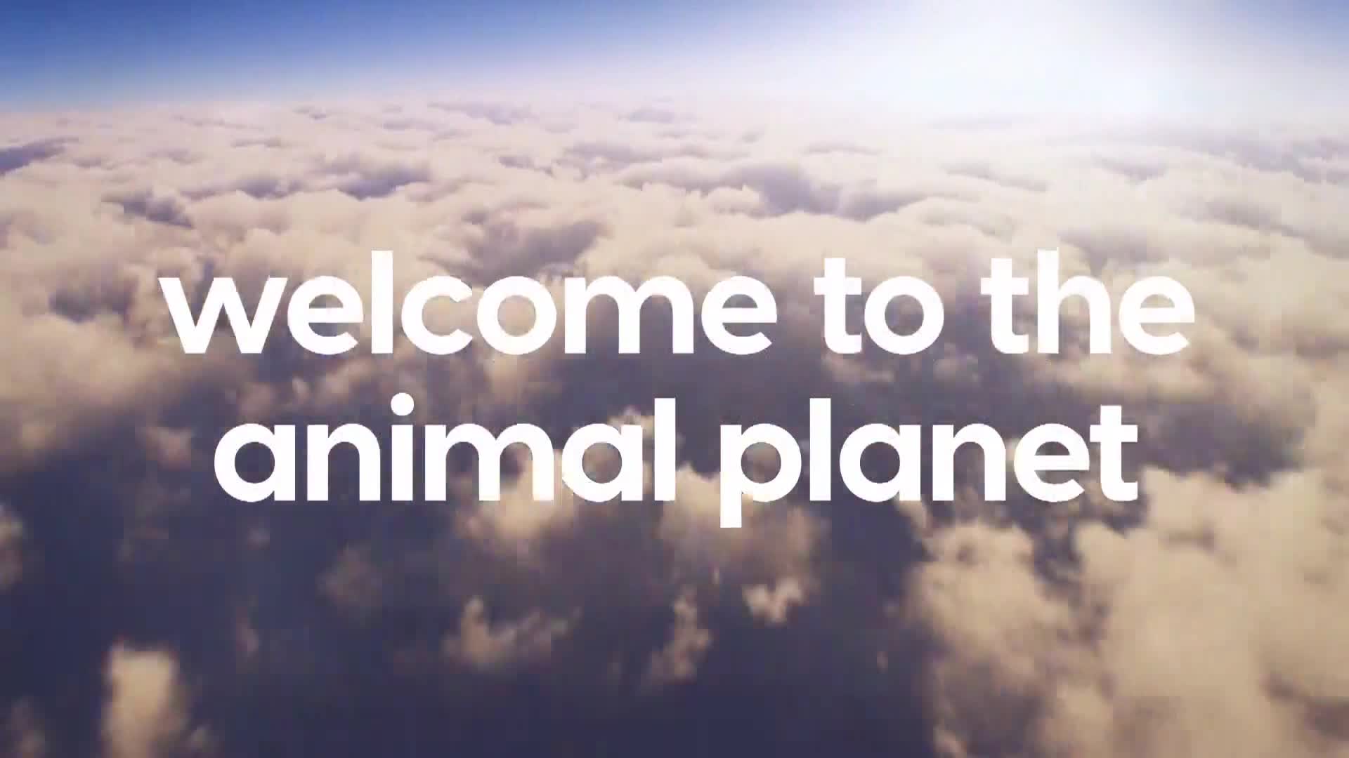 AnimalPlanet