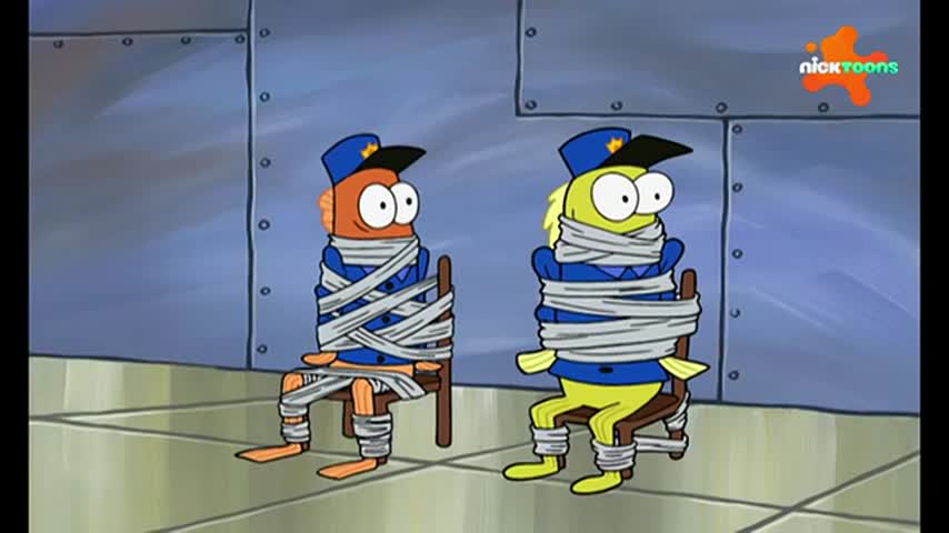 CCExtra