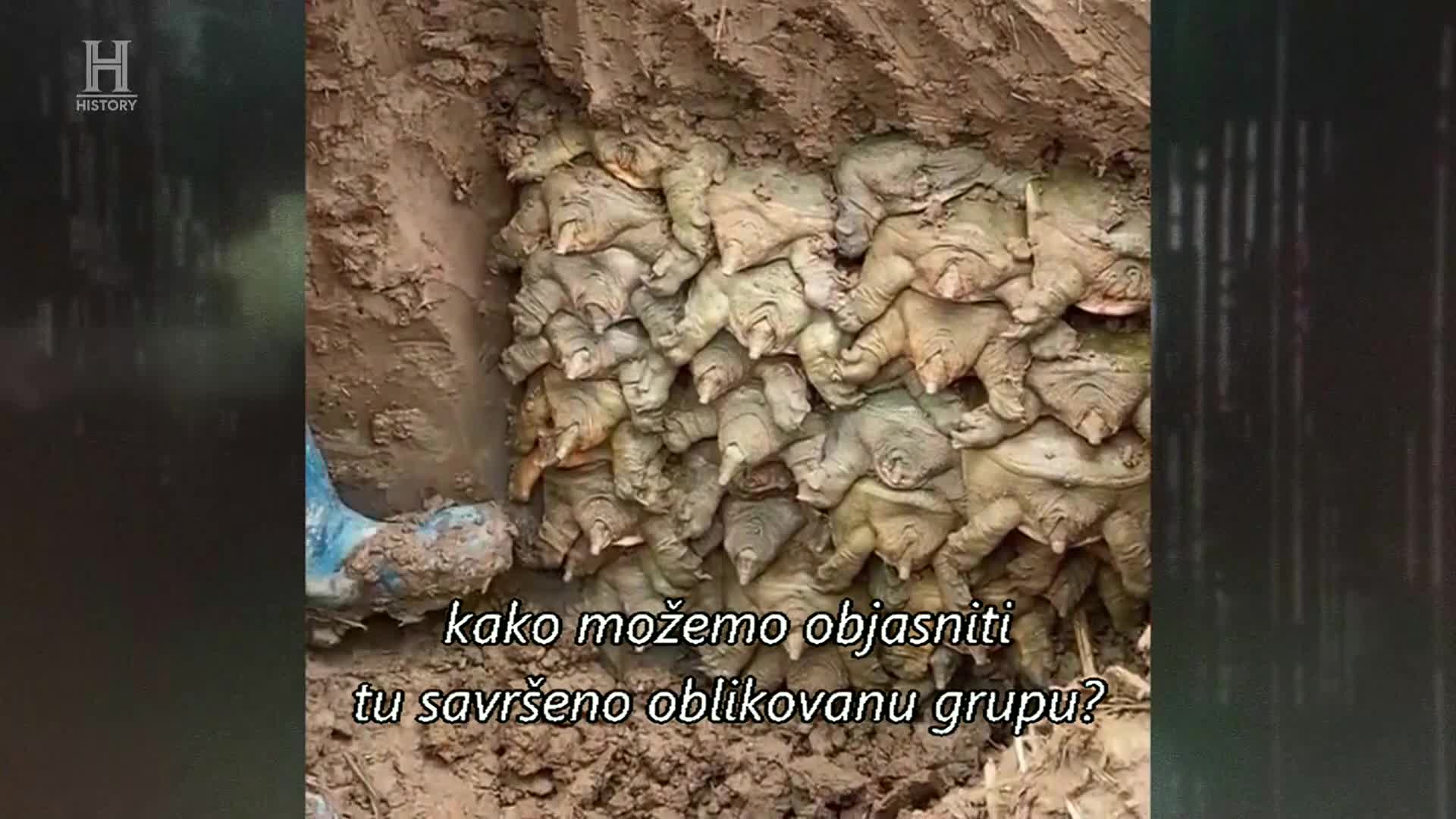 History