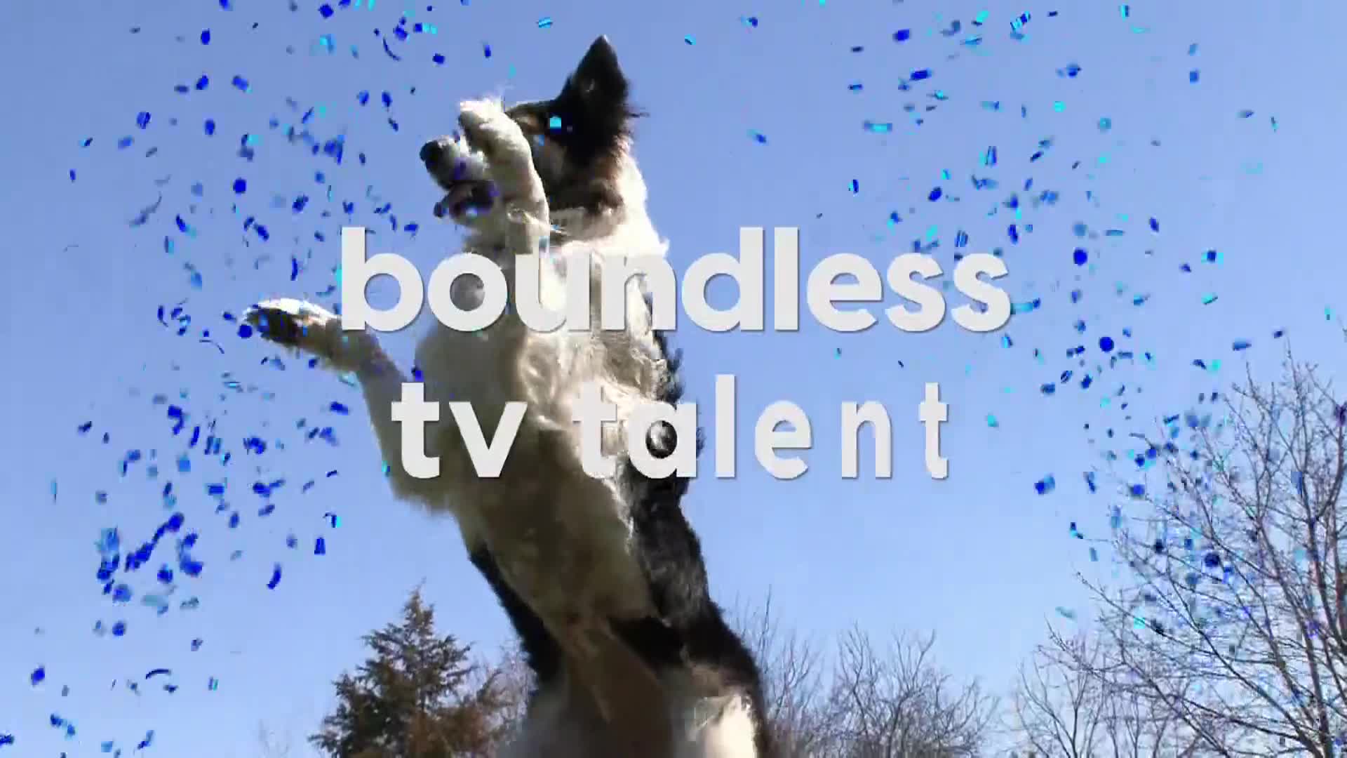 AnimalPlanet