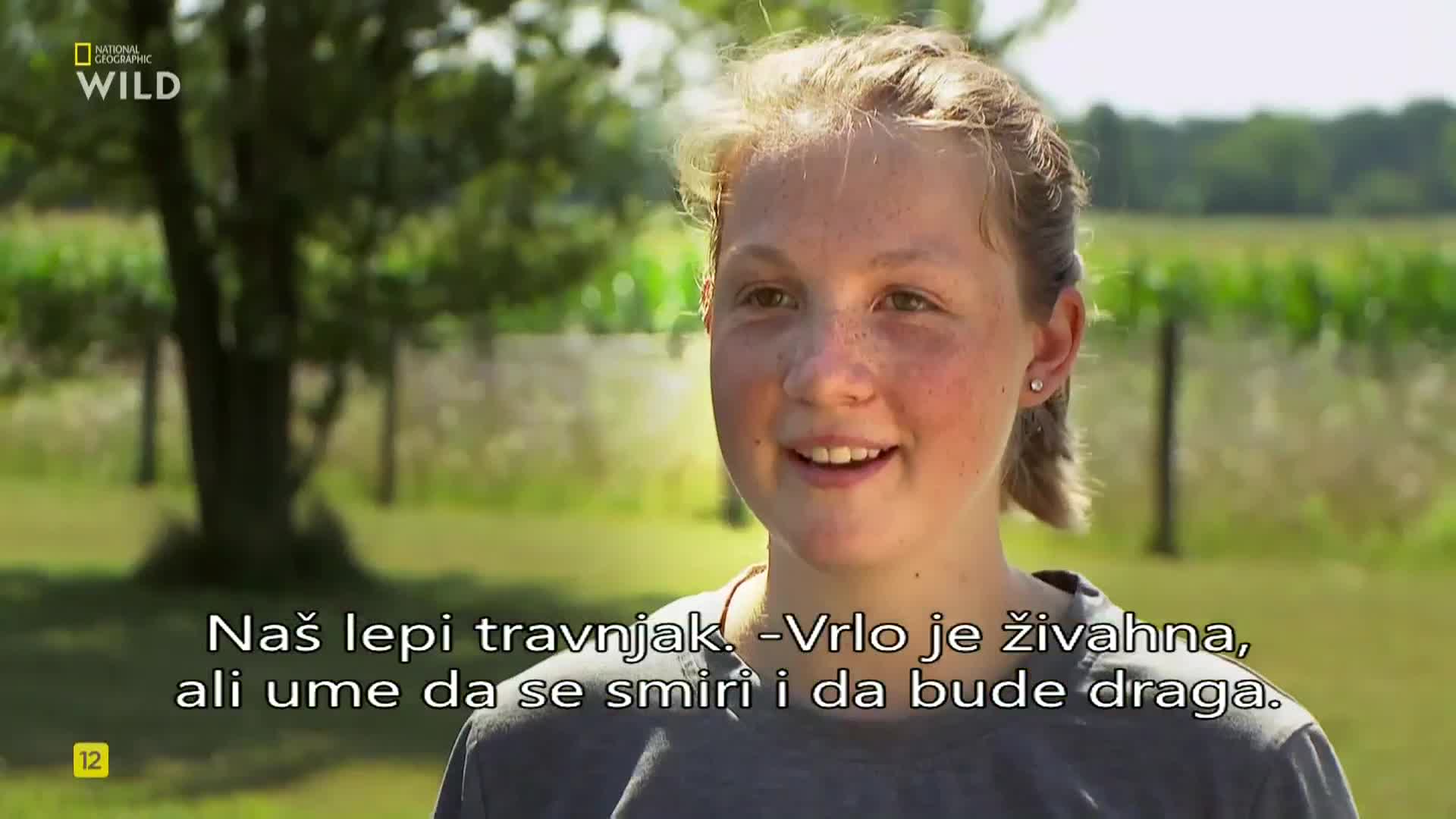 Premium9
