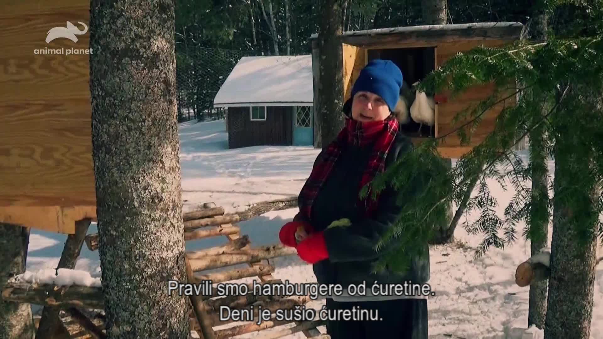 AnimalPlanet
