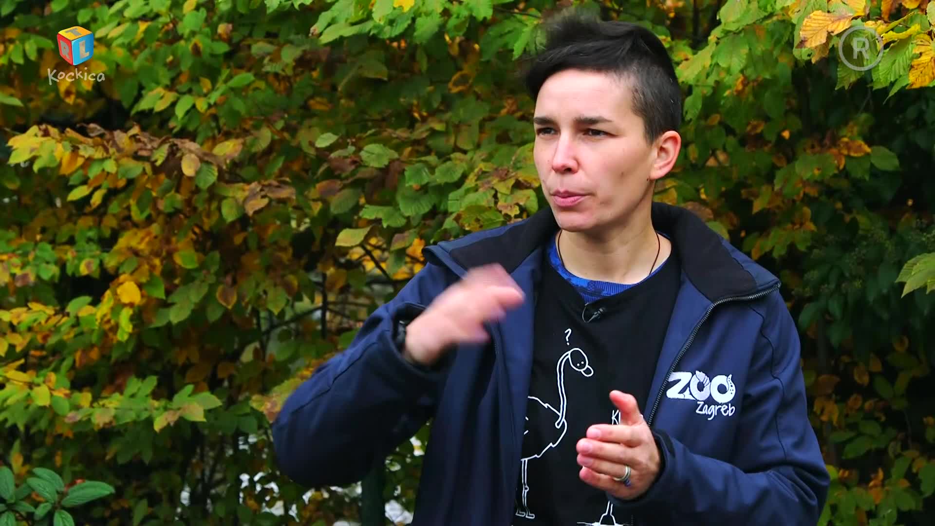 RTLKockica