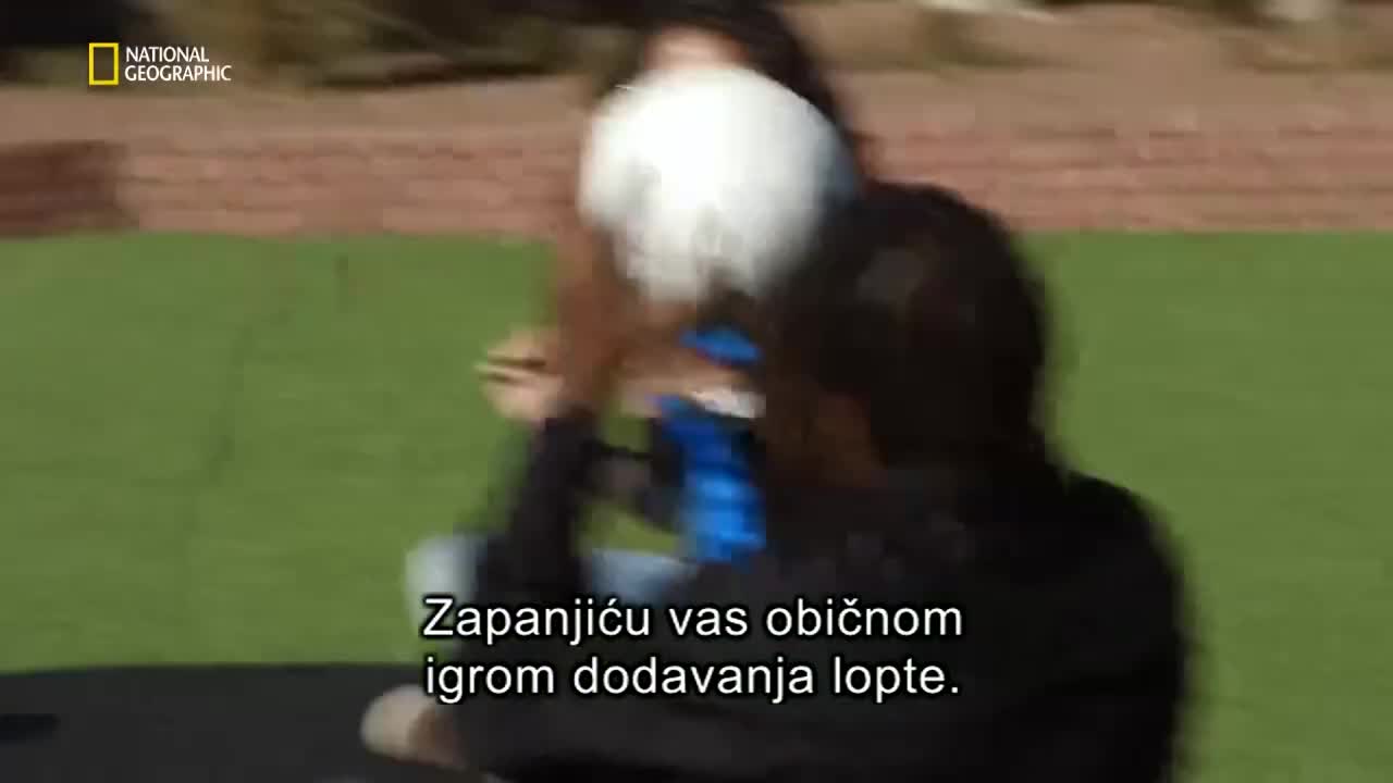 Premium10