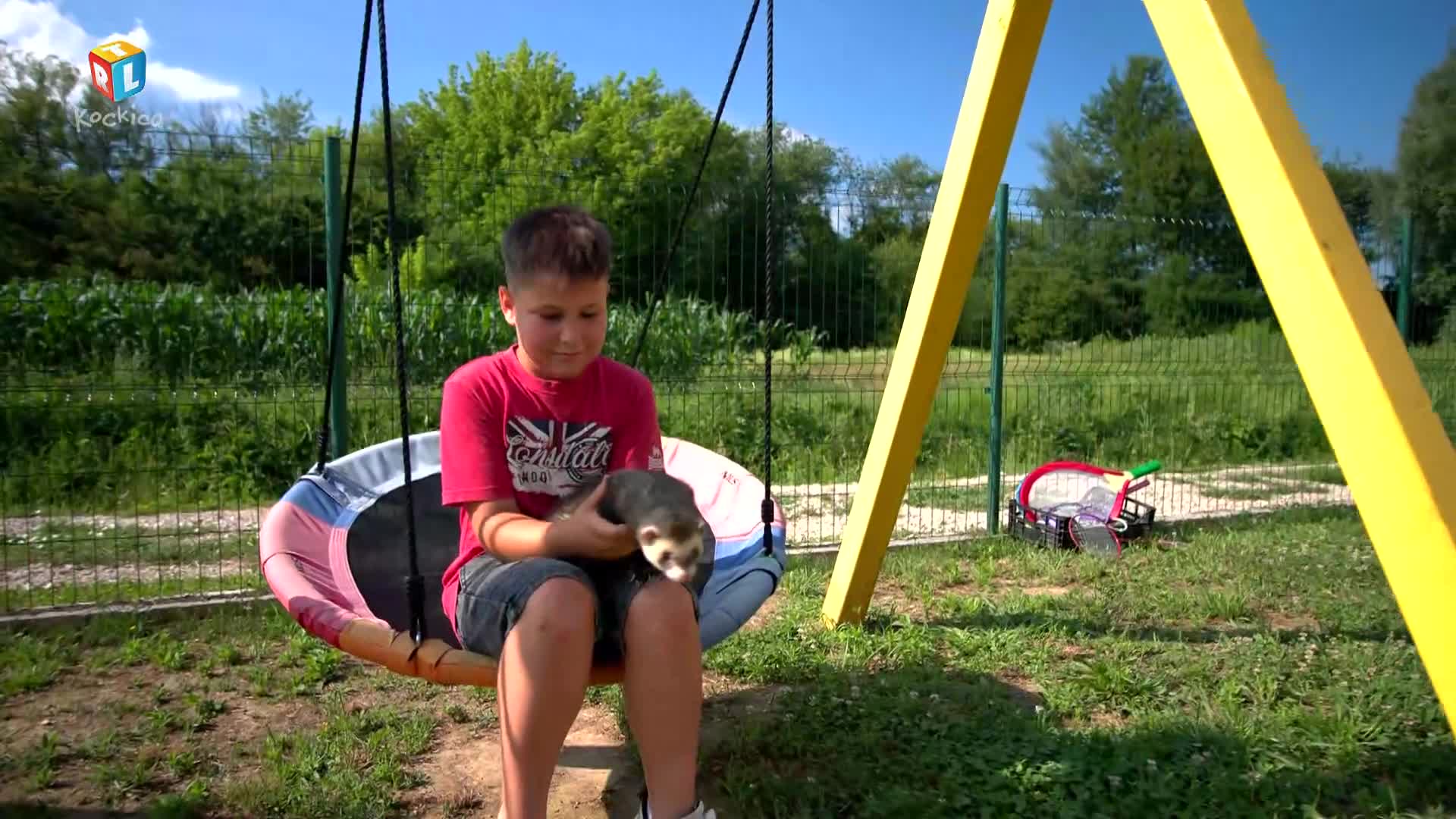 RTLKockica