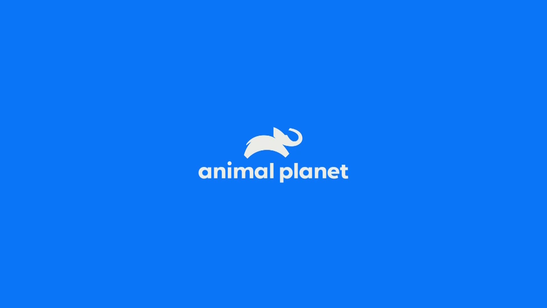 AnimalPlanet