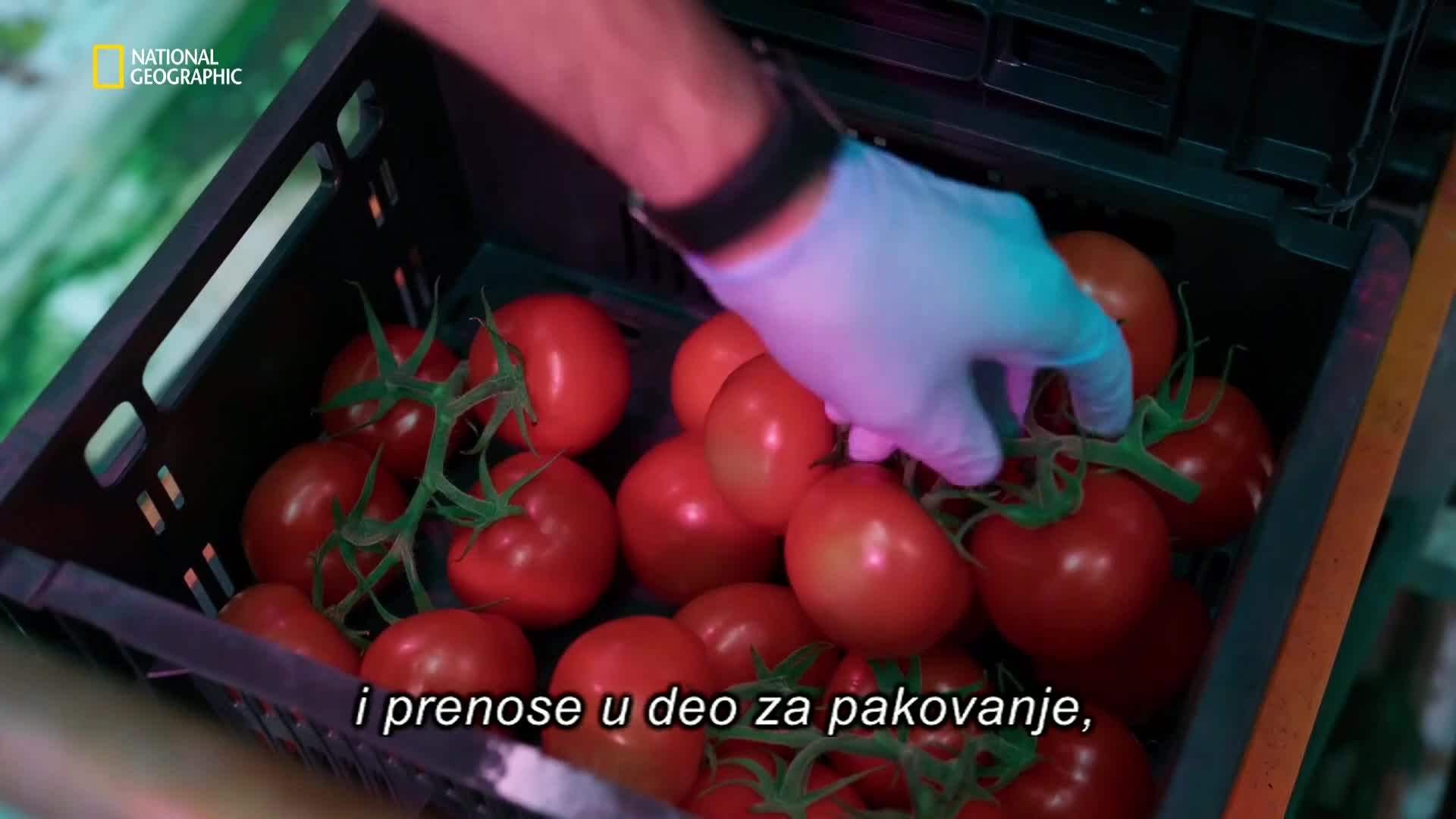 Premium10