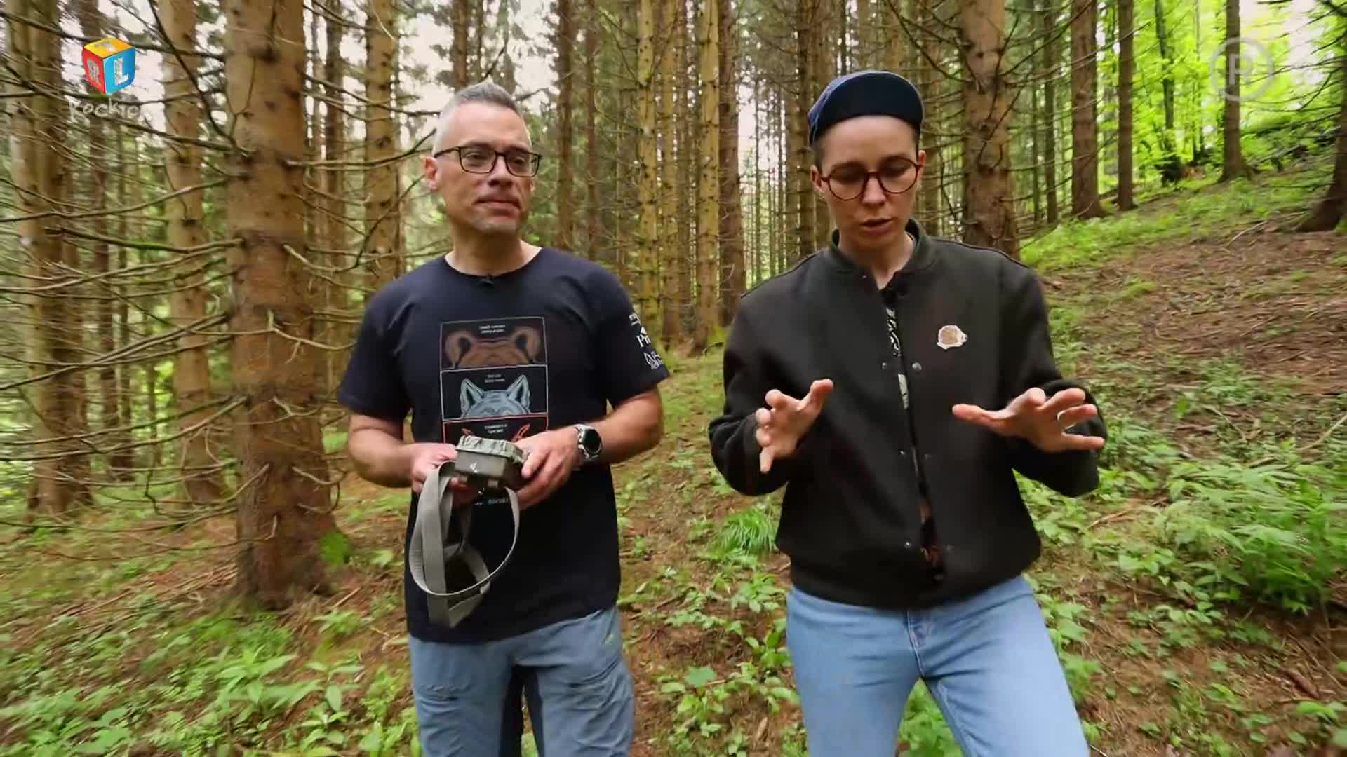 RTLKockica