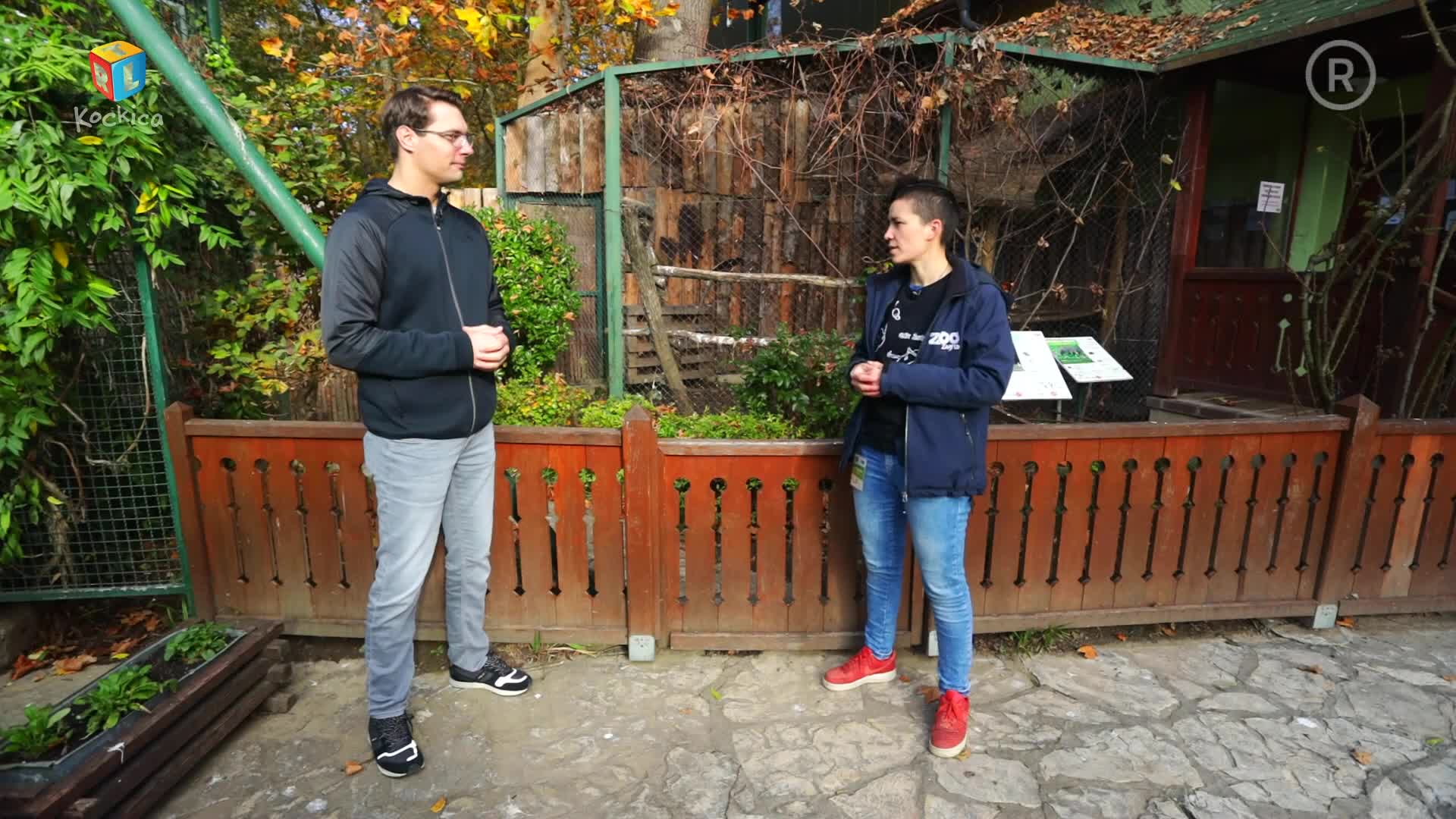 RTLKockica