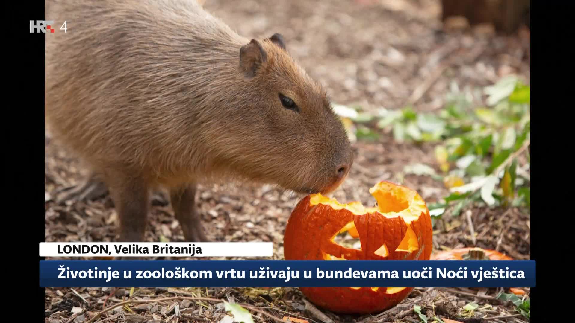 HRT4