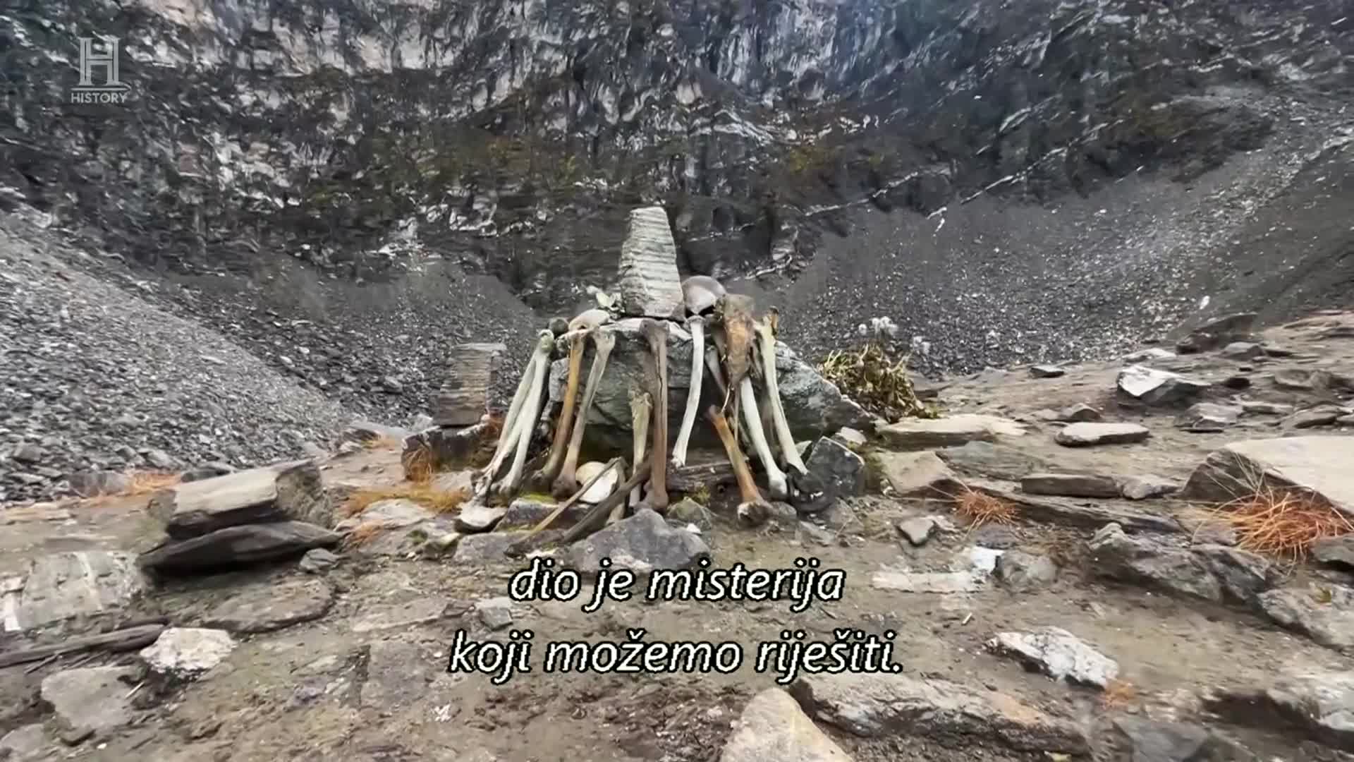 History