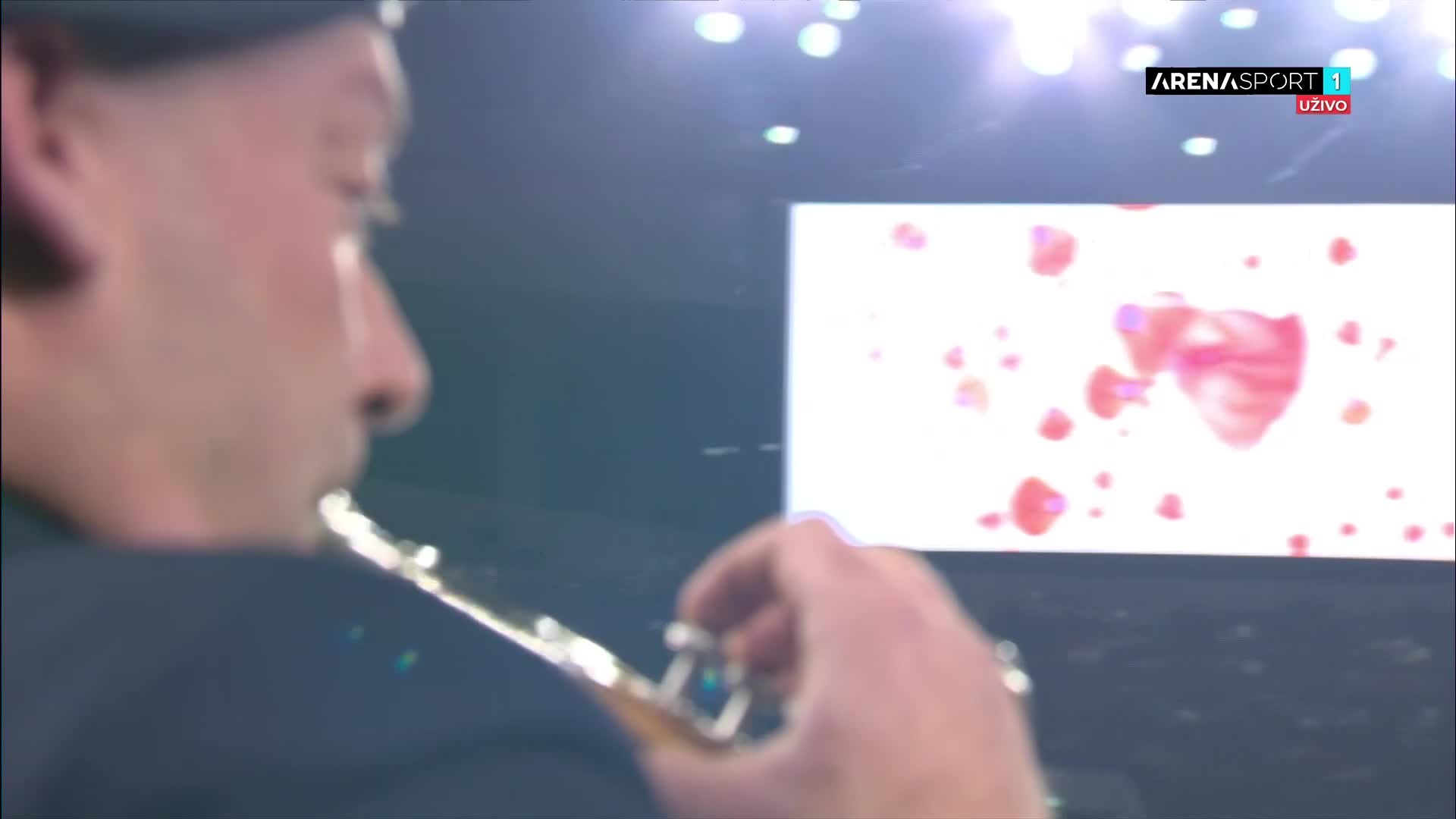 ArenaSportHD1