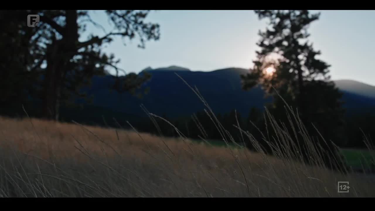 FTV
