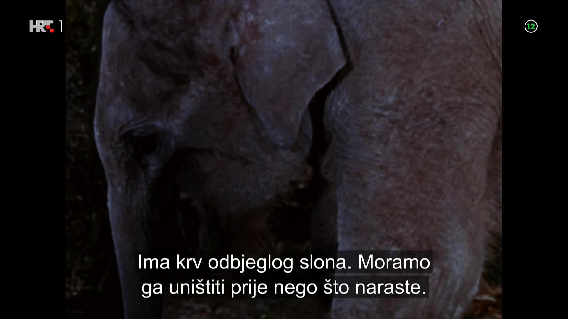 HRT1