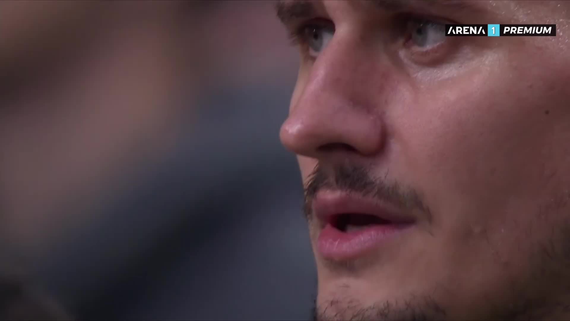 ArenaPremium1