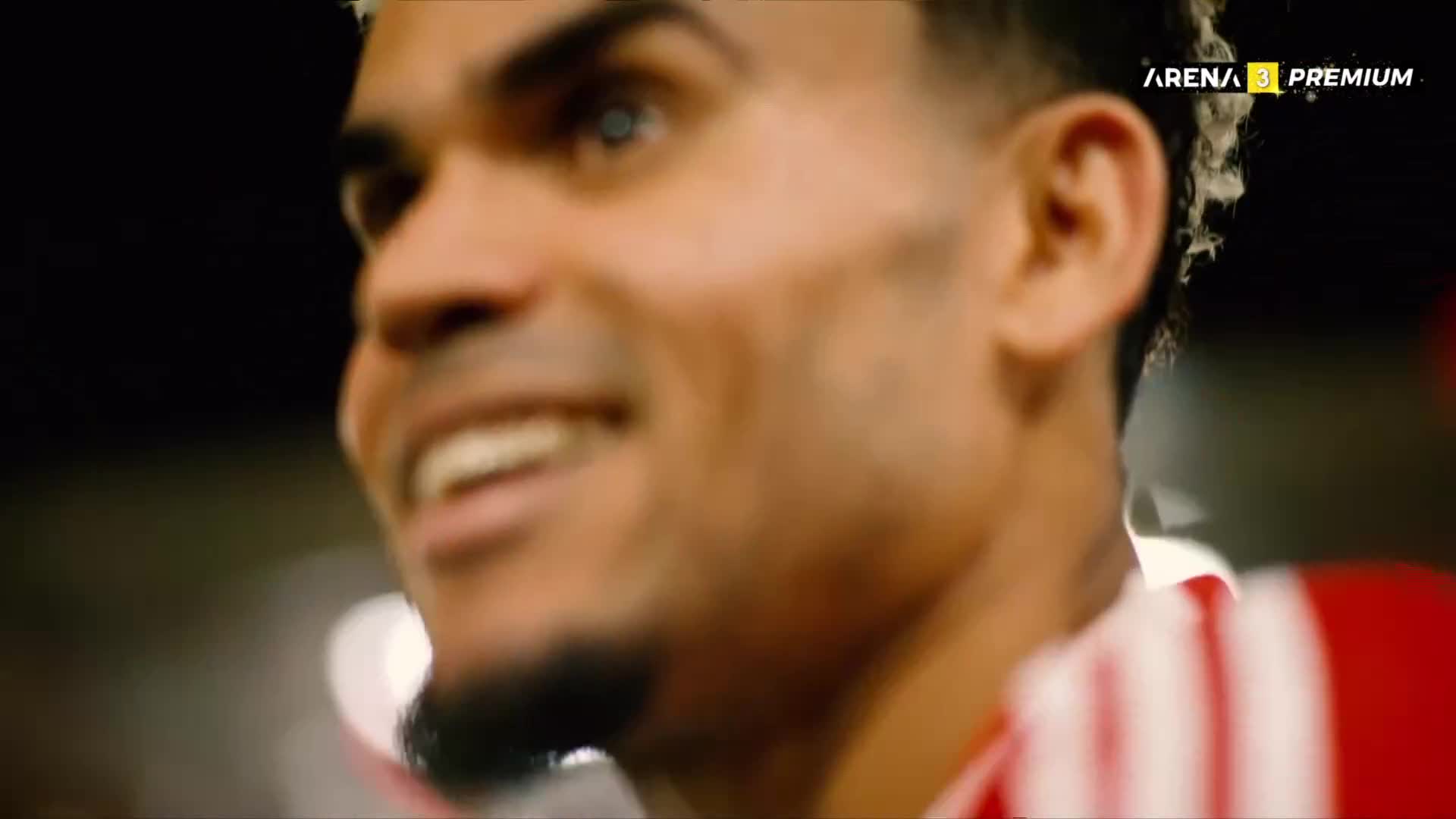 ArenaPremium3