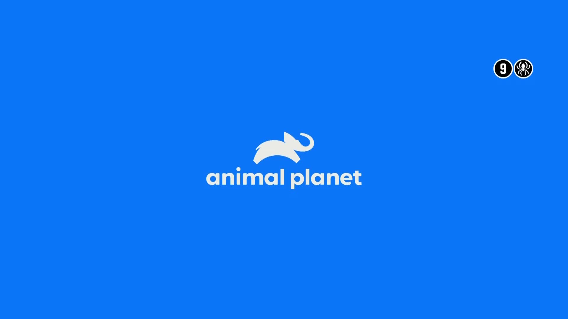 AnimalPlanet
