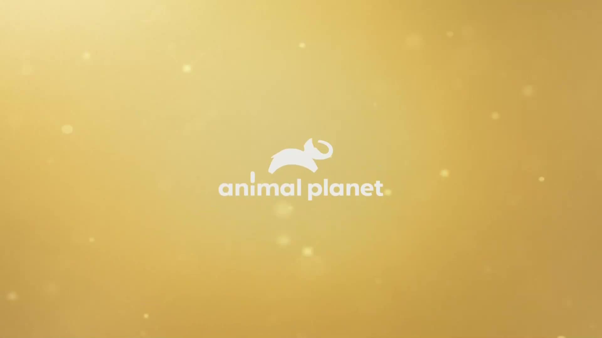AnimalPlanet