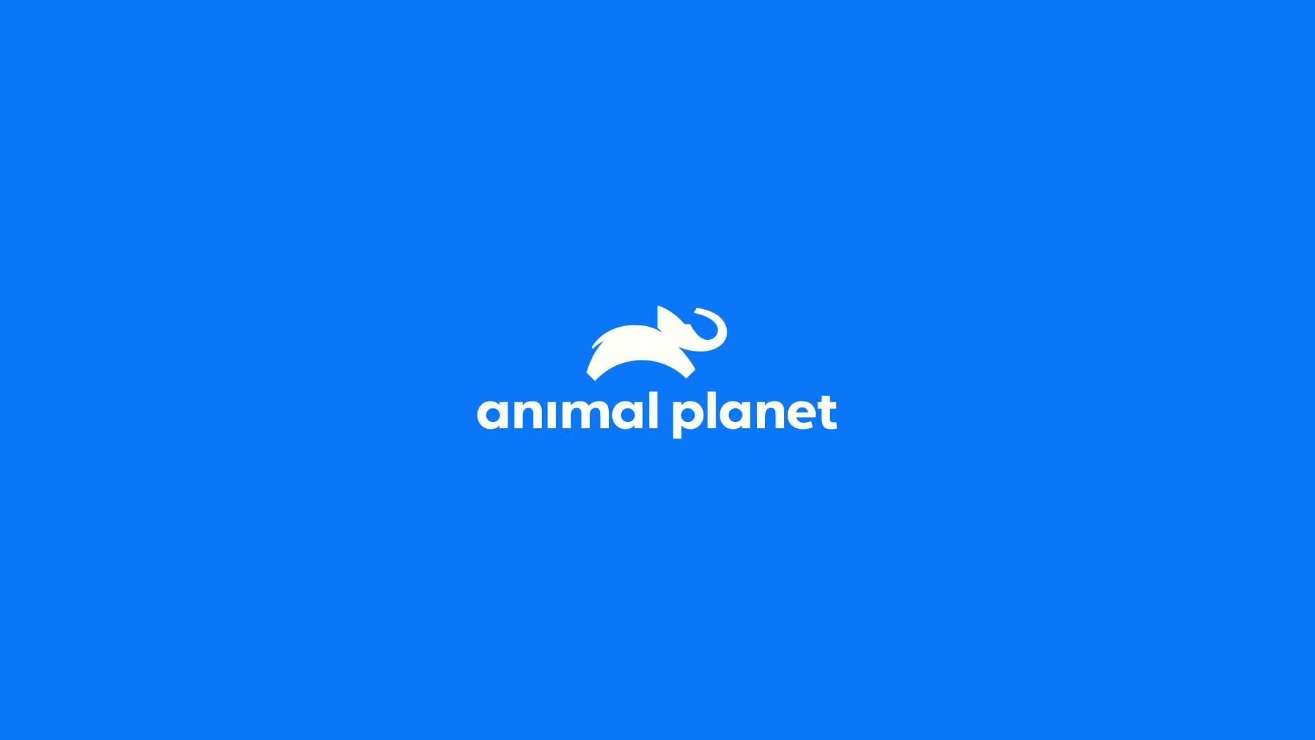 AnimalPlanet