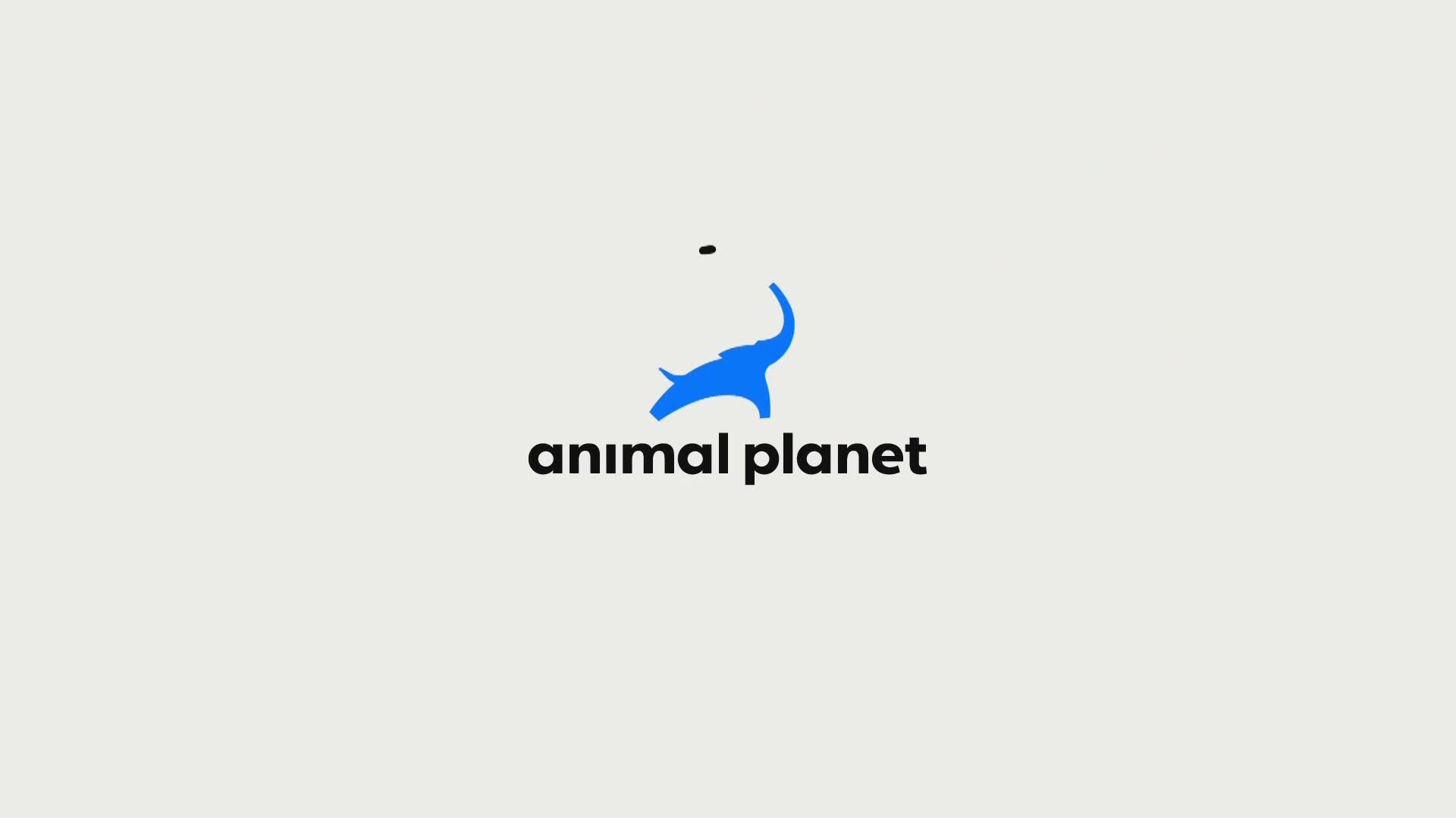 AnimalPlanet
