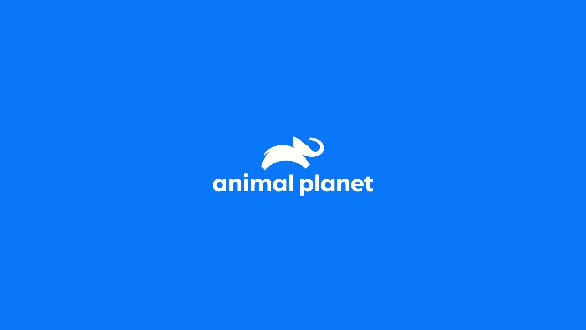 AnimalPlanet