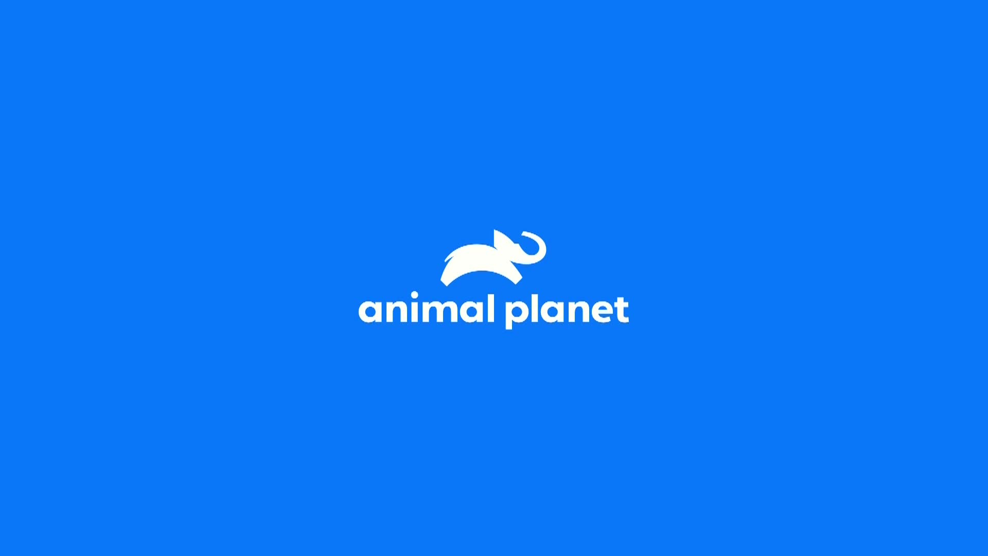 AnimalPlanet