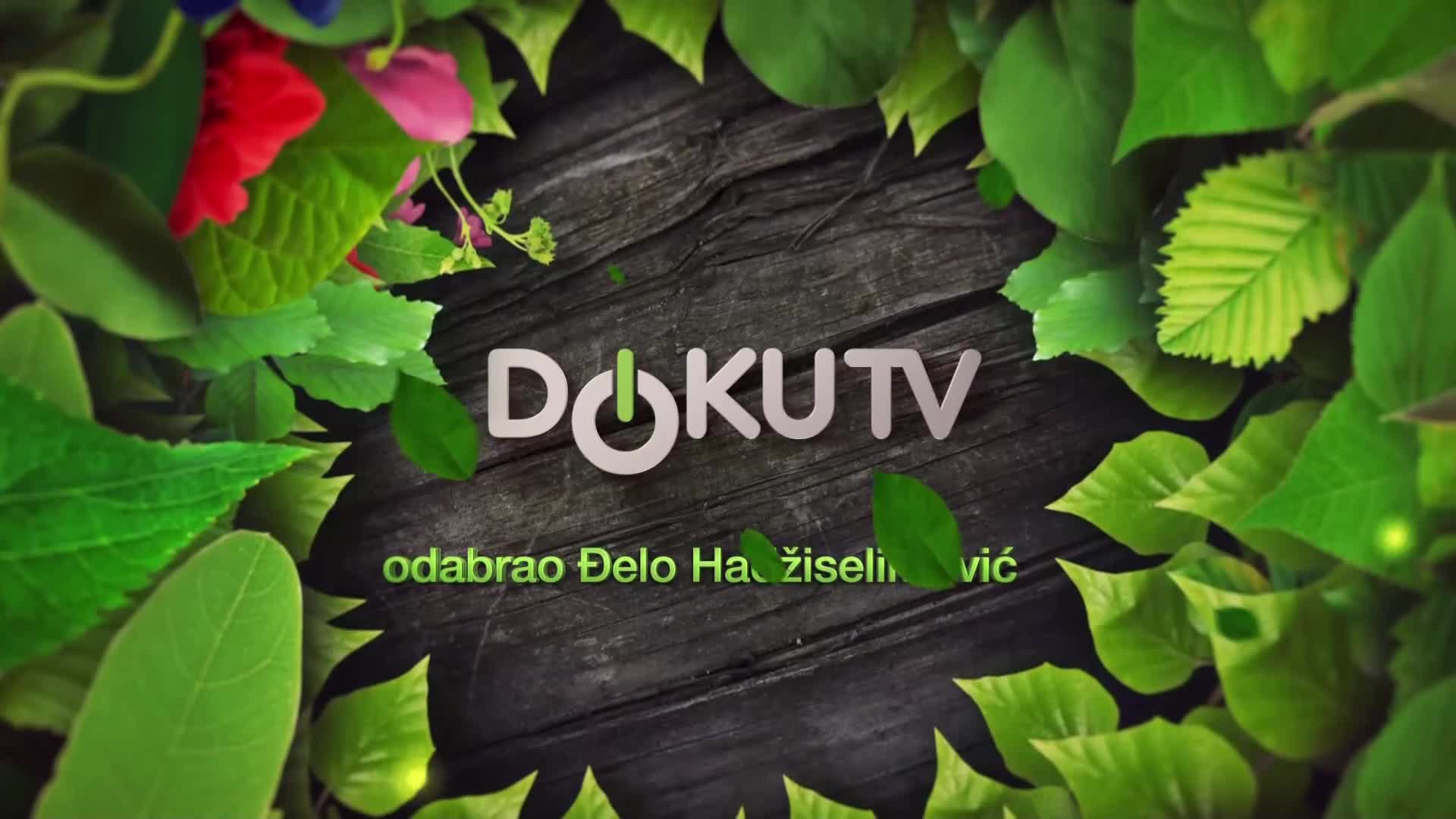 DokuTV