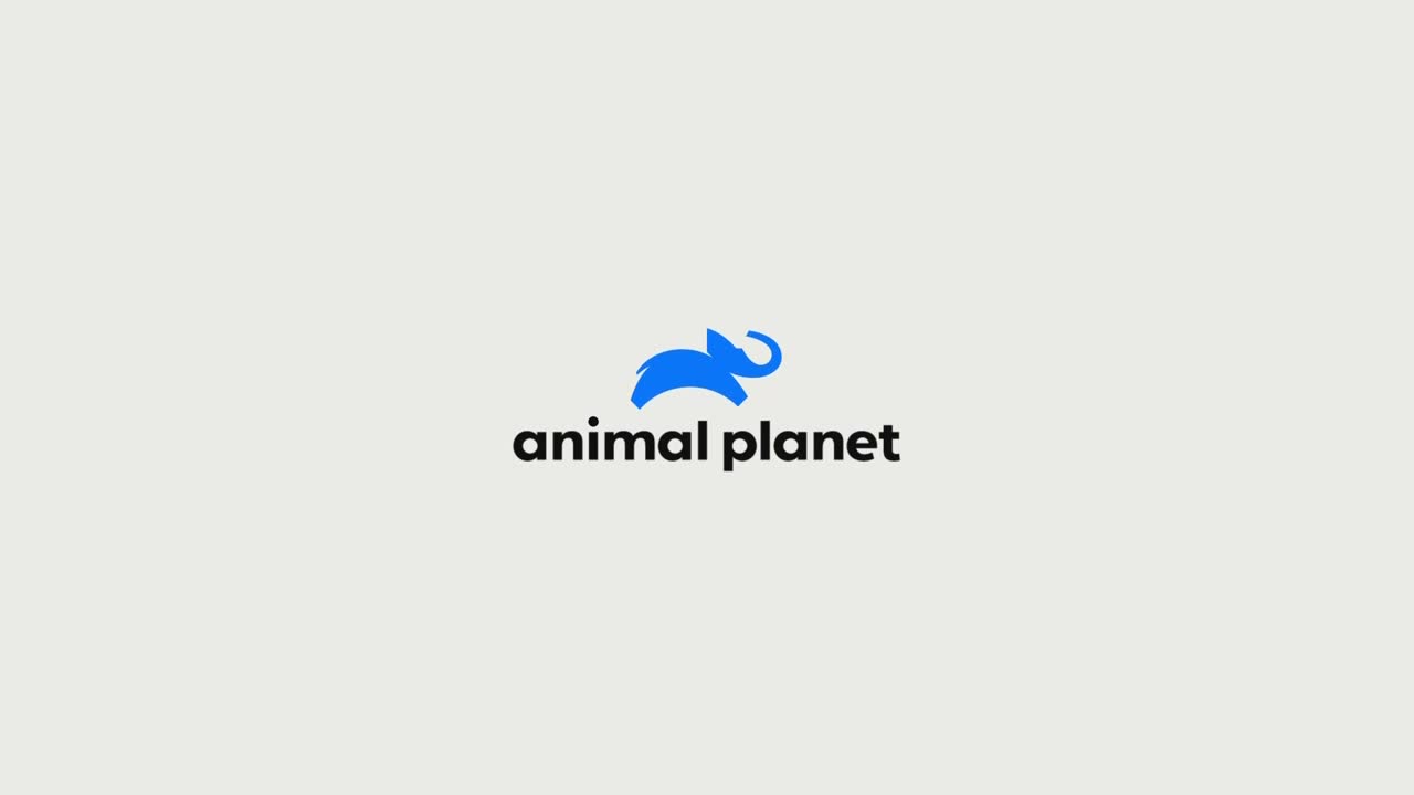 AnimalPlanet