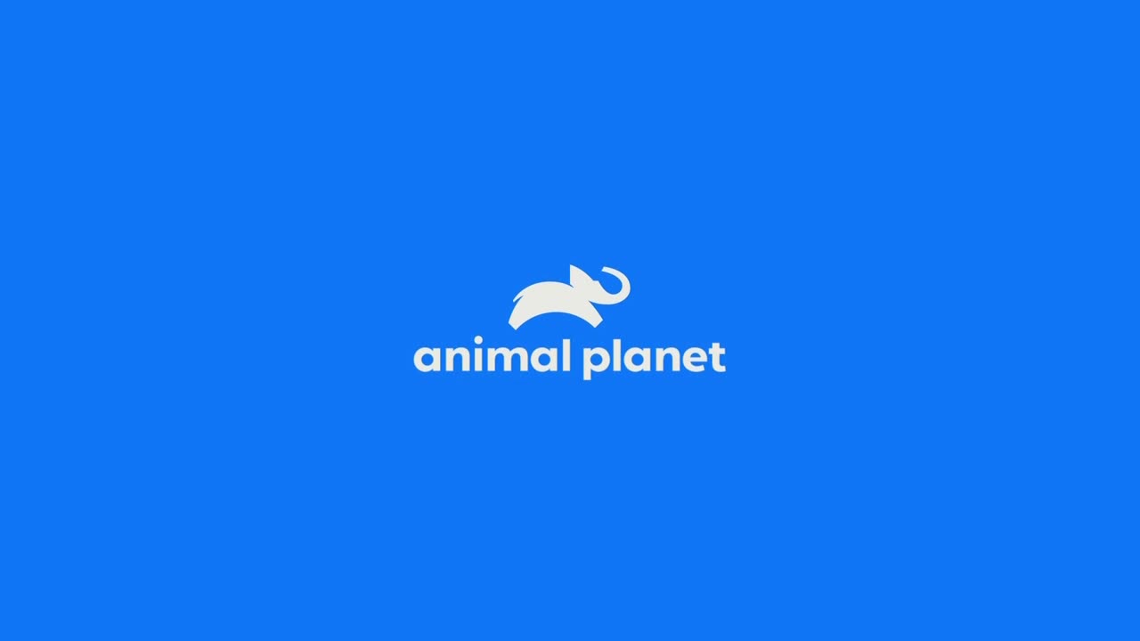AnimalPlanet