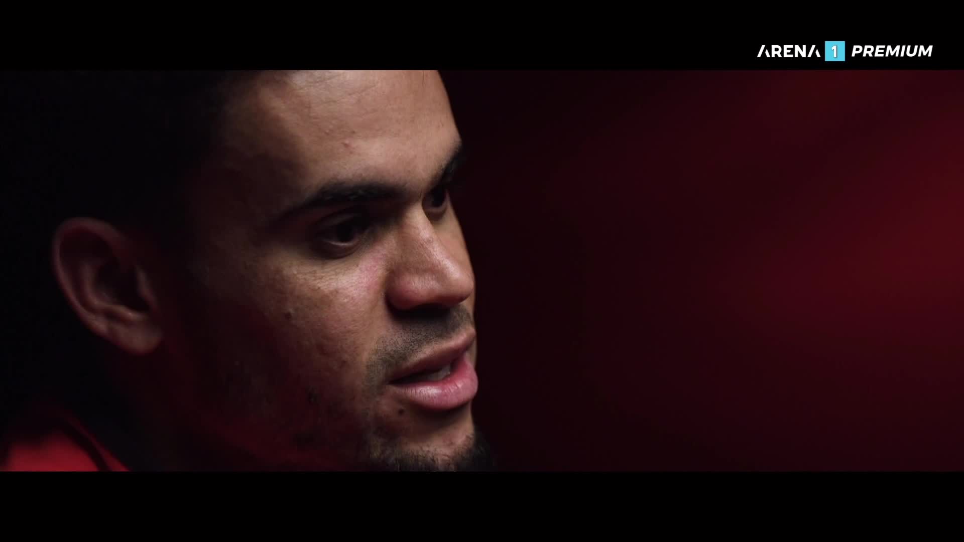 ArenaPremium1