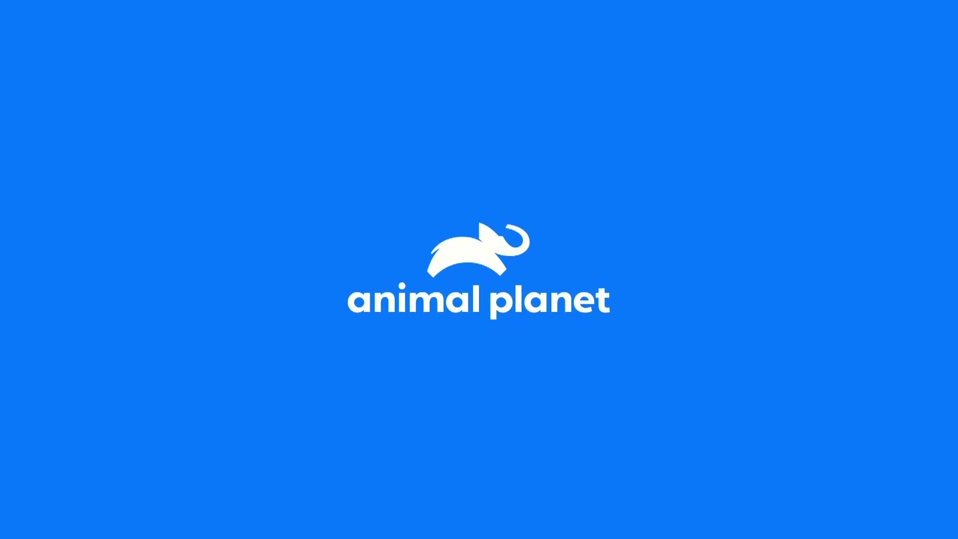 AnimalPlanet
