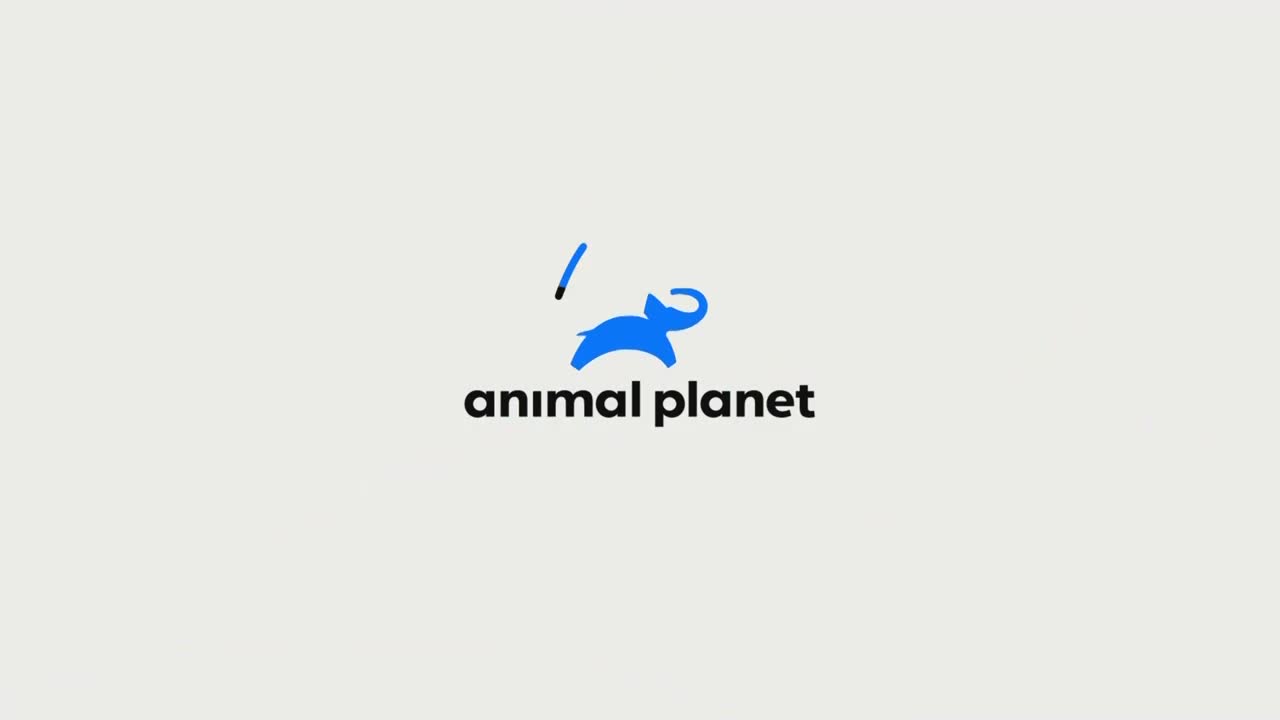 AnimalPlanet