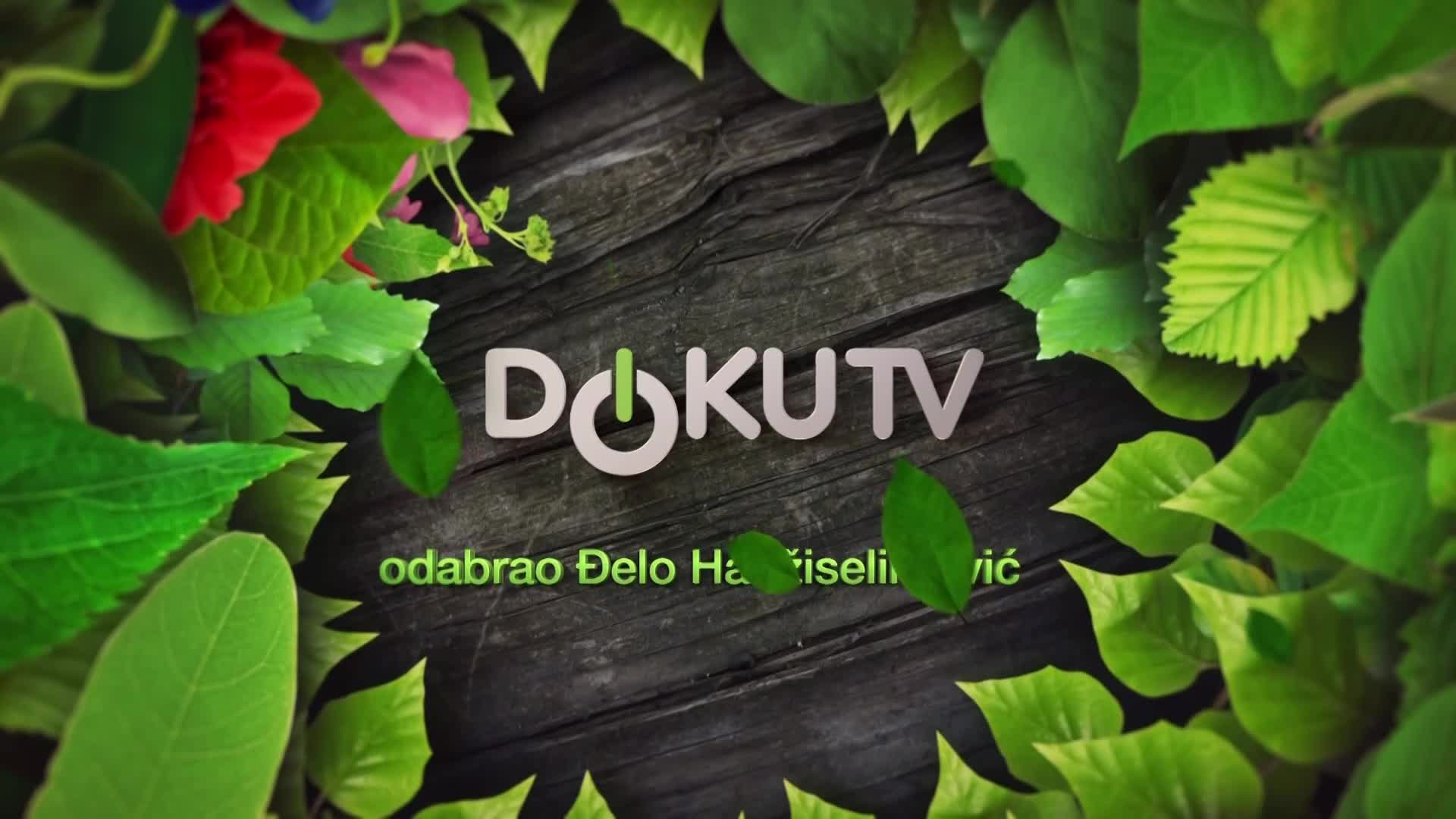 DokuTV