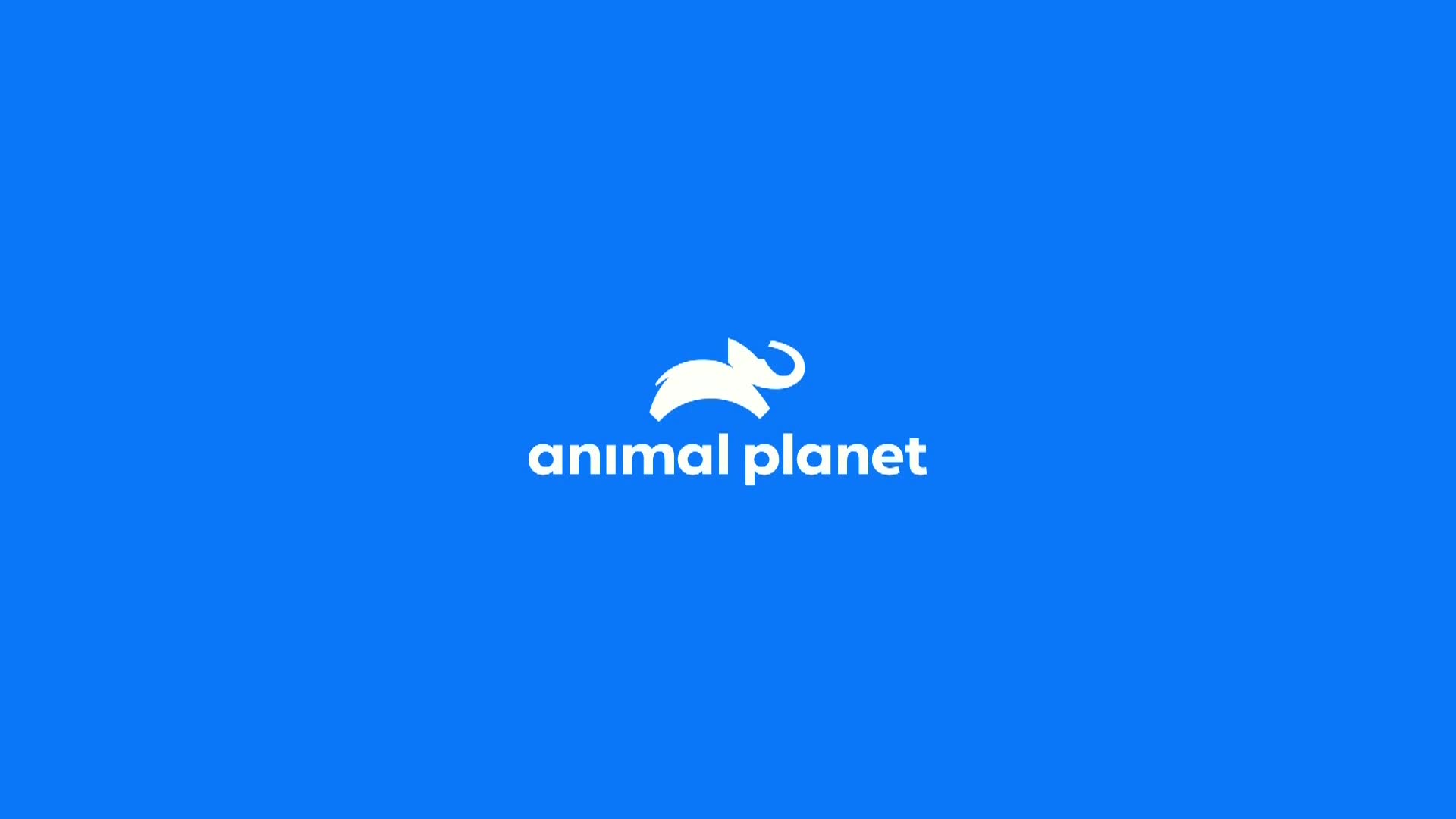 AnimalPlanet