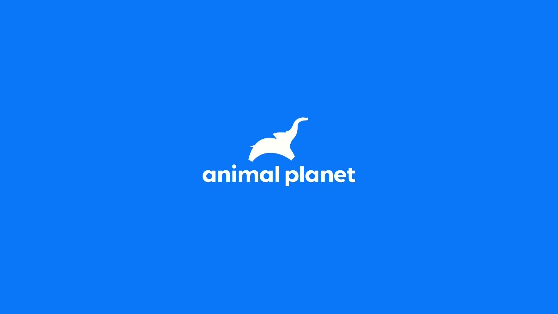 AnimalPlanet