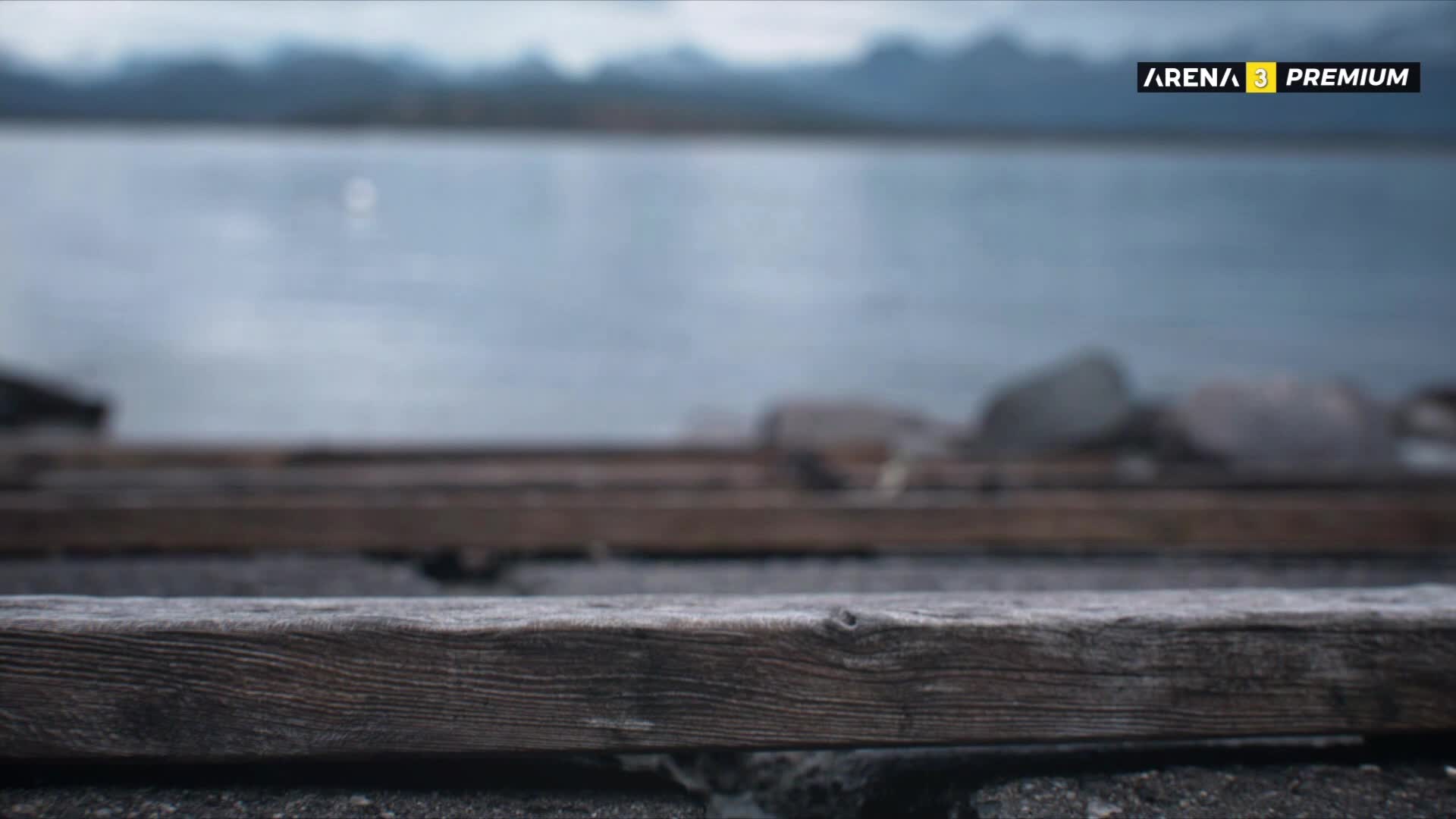 ArenaPremium3