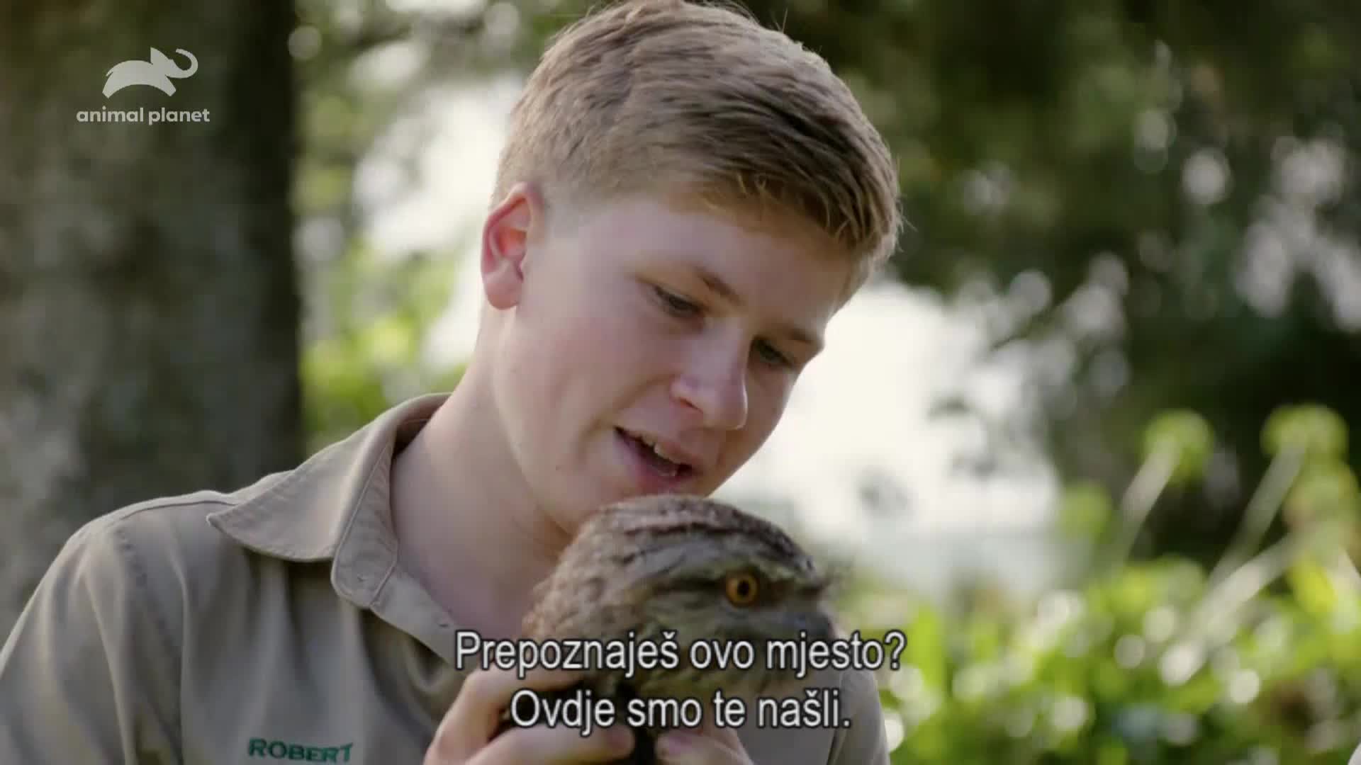 AnimalPlanet