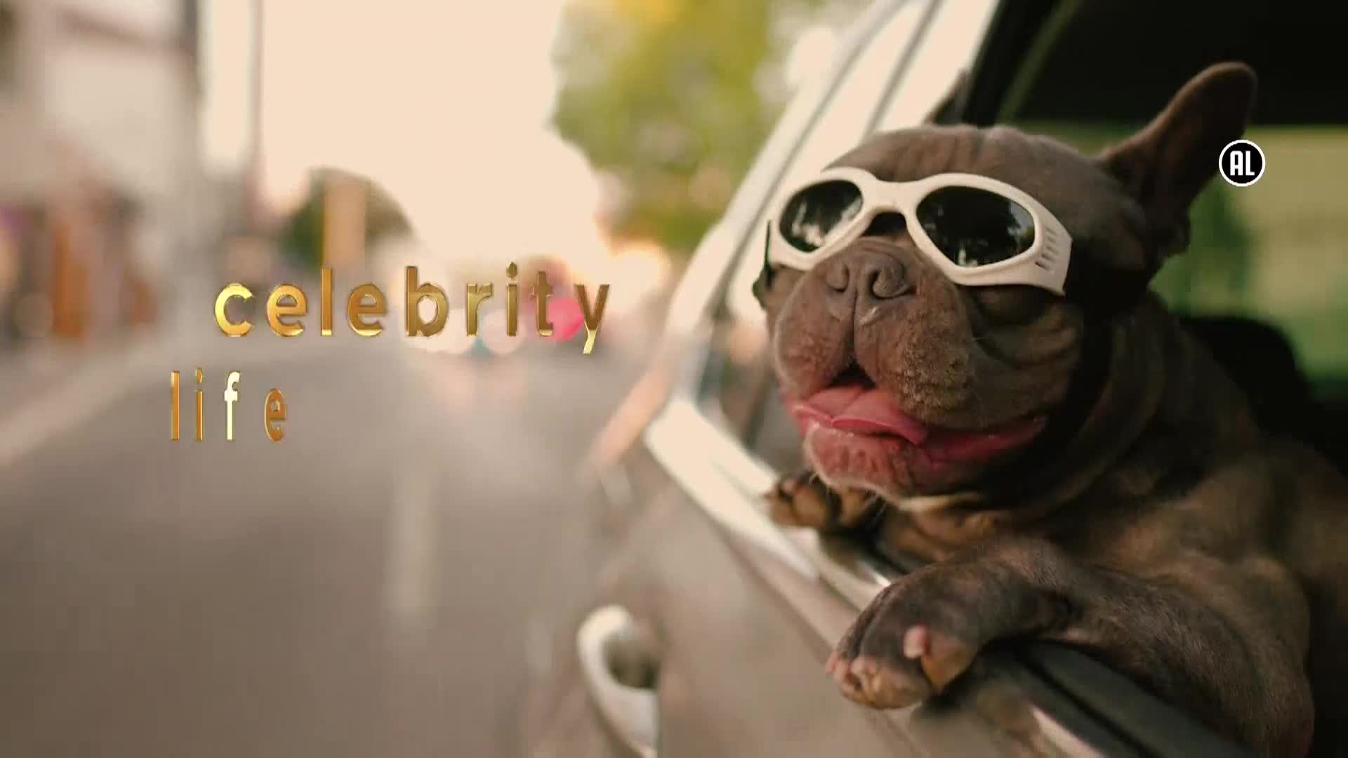 AnimalPlanet