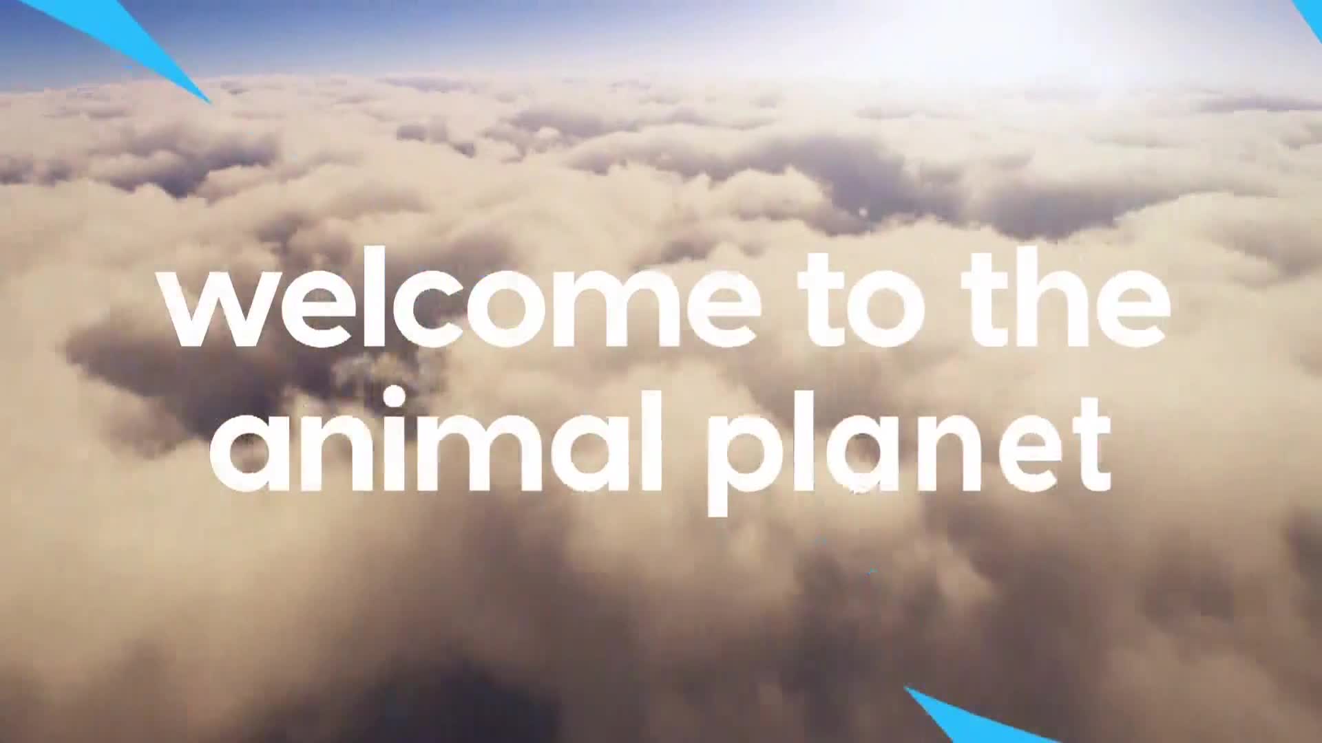 AnimalPlanet