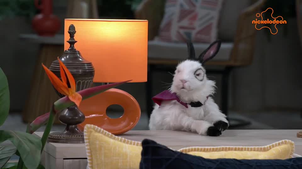 Nickelodeon