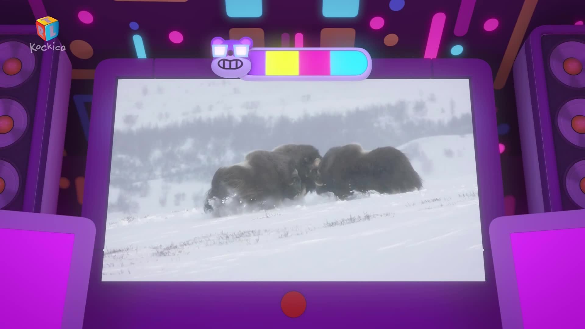 RTLKockica